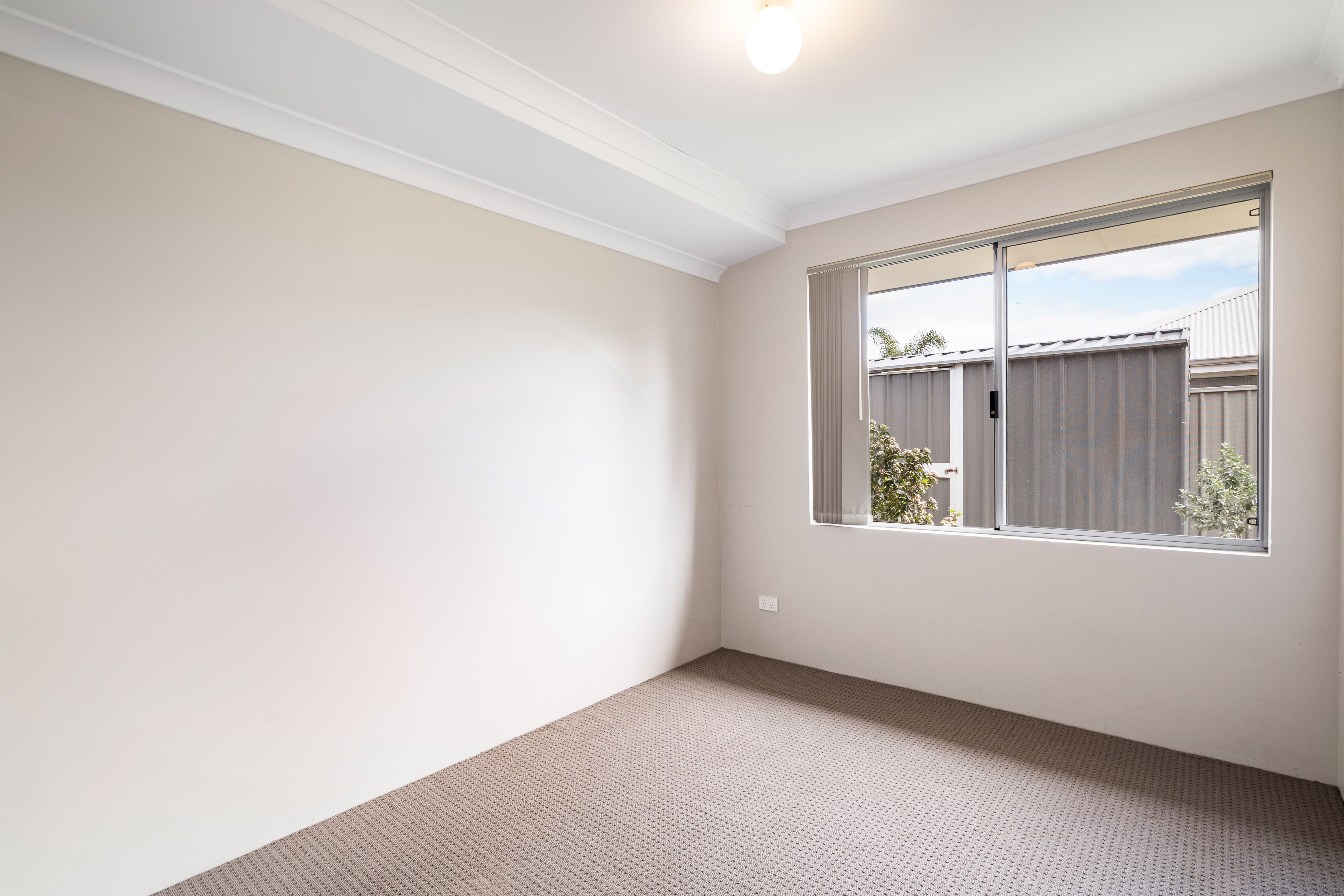 3 Silvereye Street — photo 12 of 17