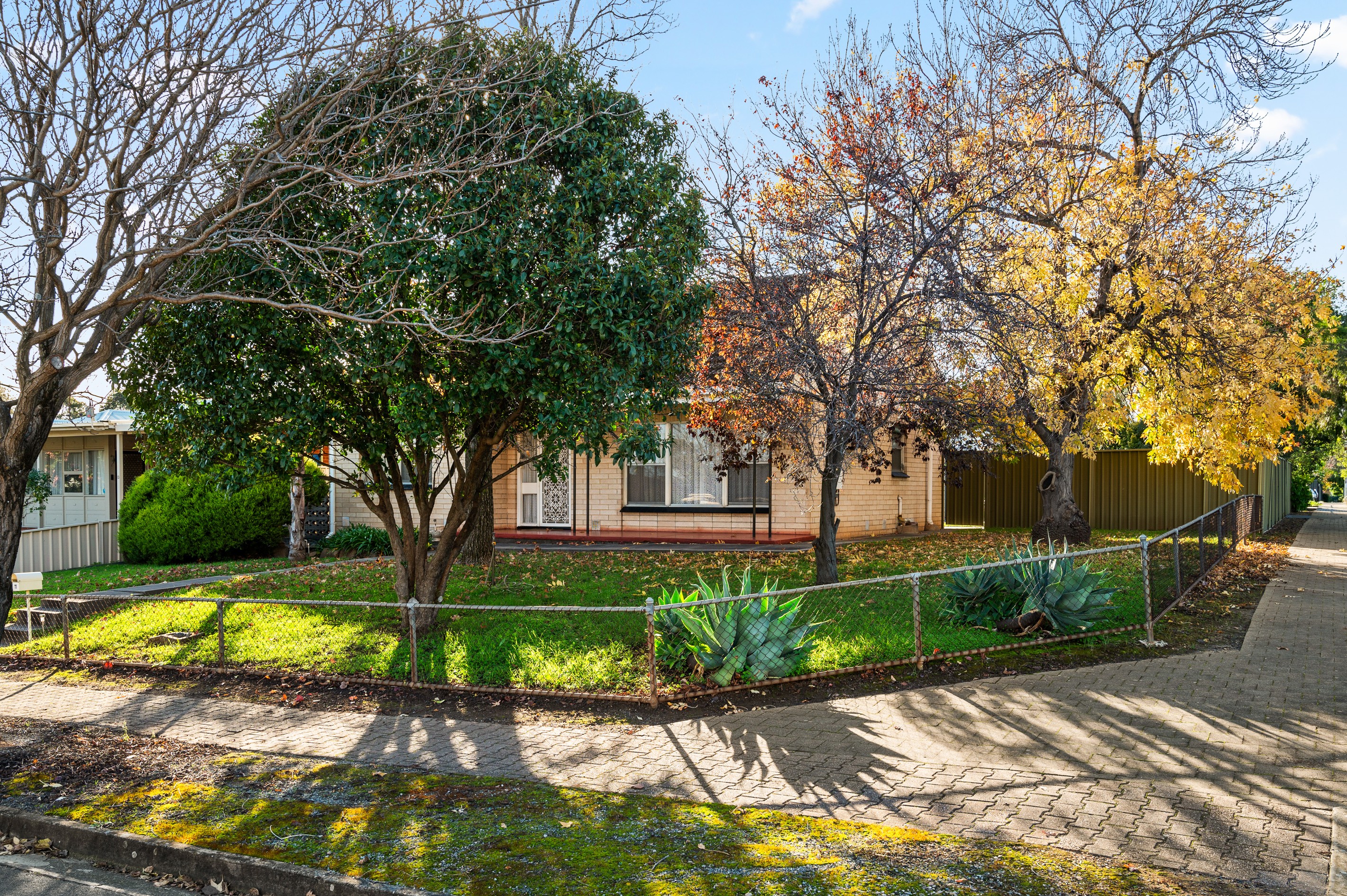 11 Lorenz Street, Campbelltown, SA 5074