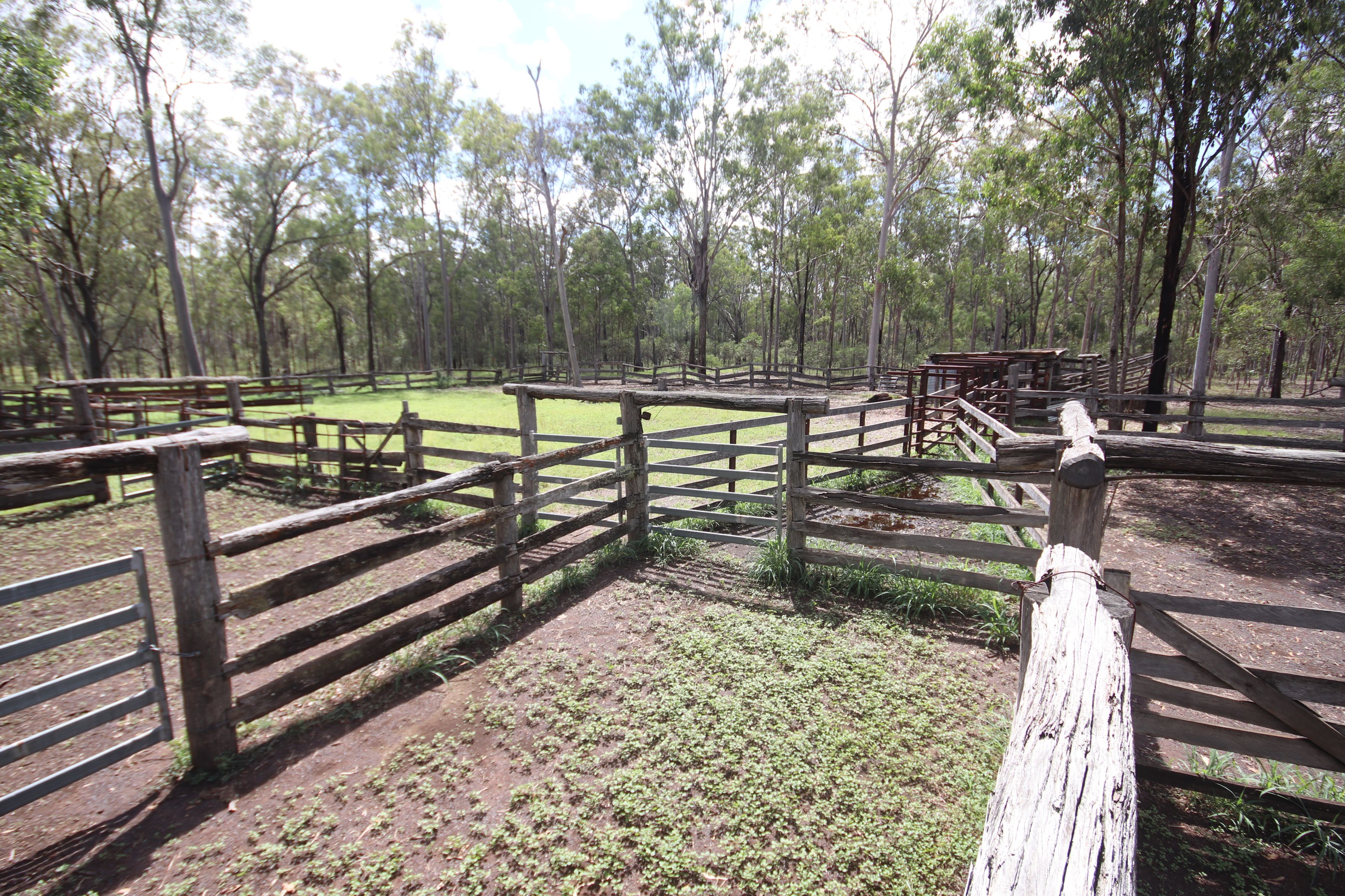 'Greentree' MundubberaDurong Road, Mundubbera, QLD 4626 Rural
