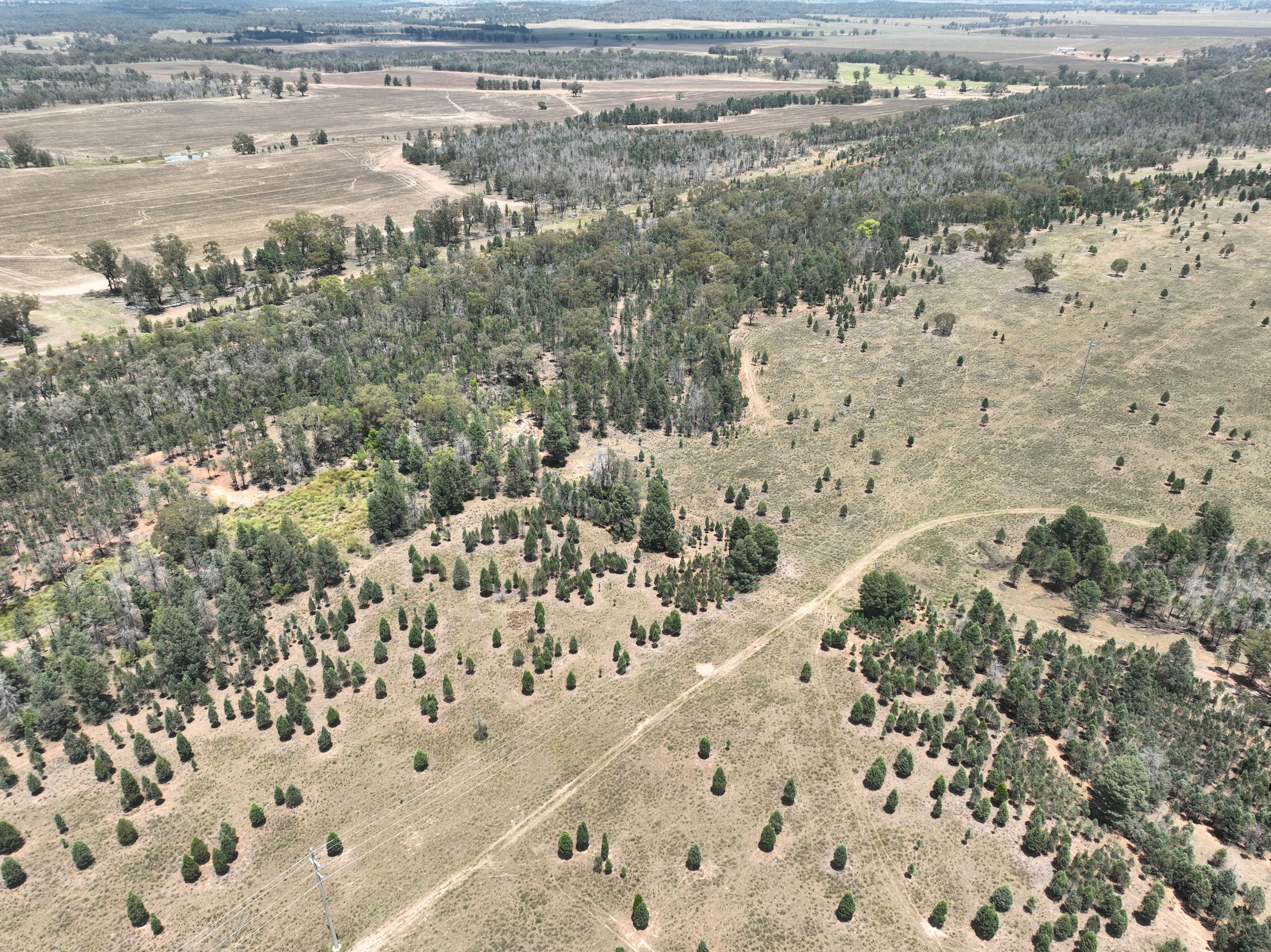'Illapa' 238L Narromine Road — photo 9 of 30