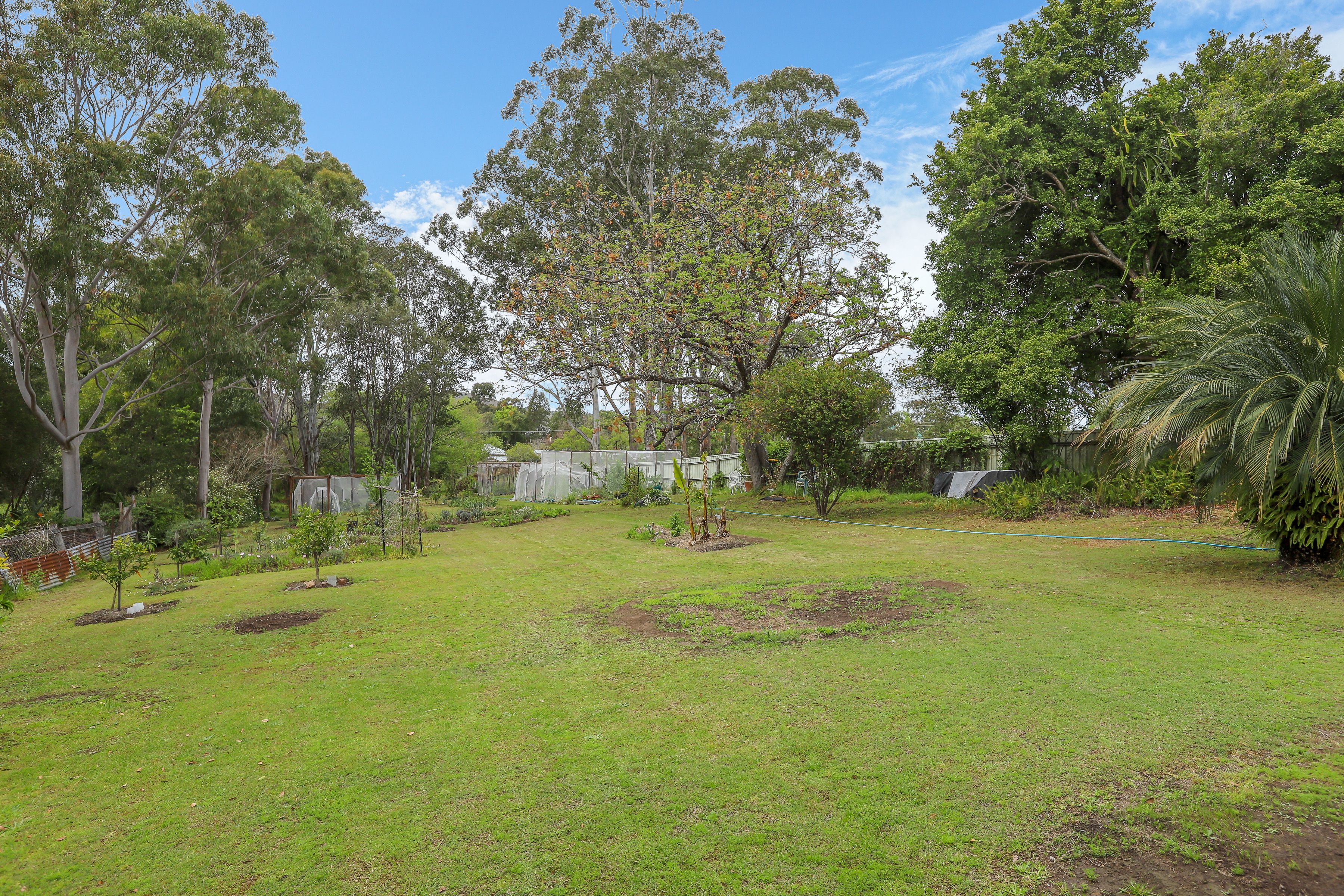 111 Eloiza Street, Dungog, NSW 2420