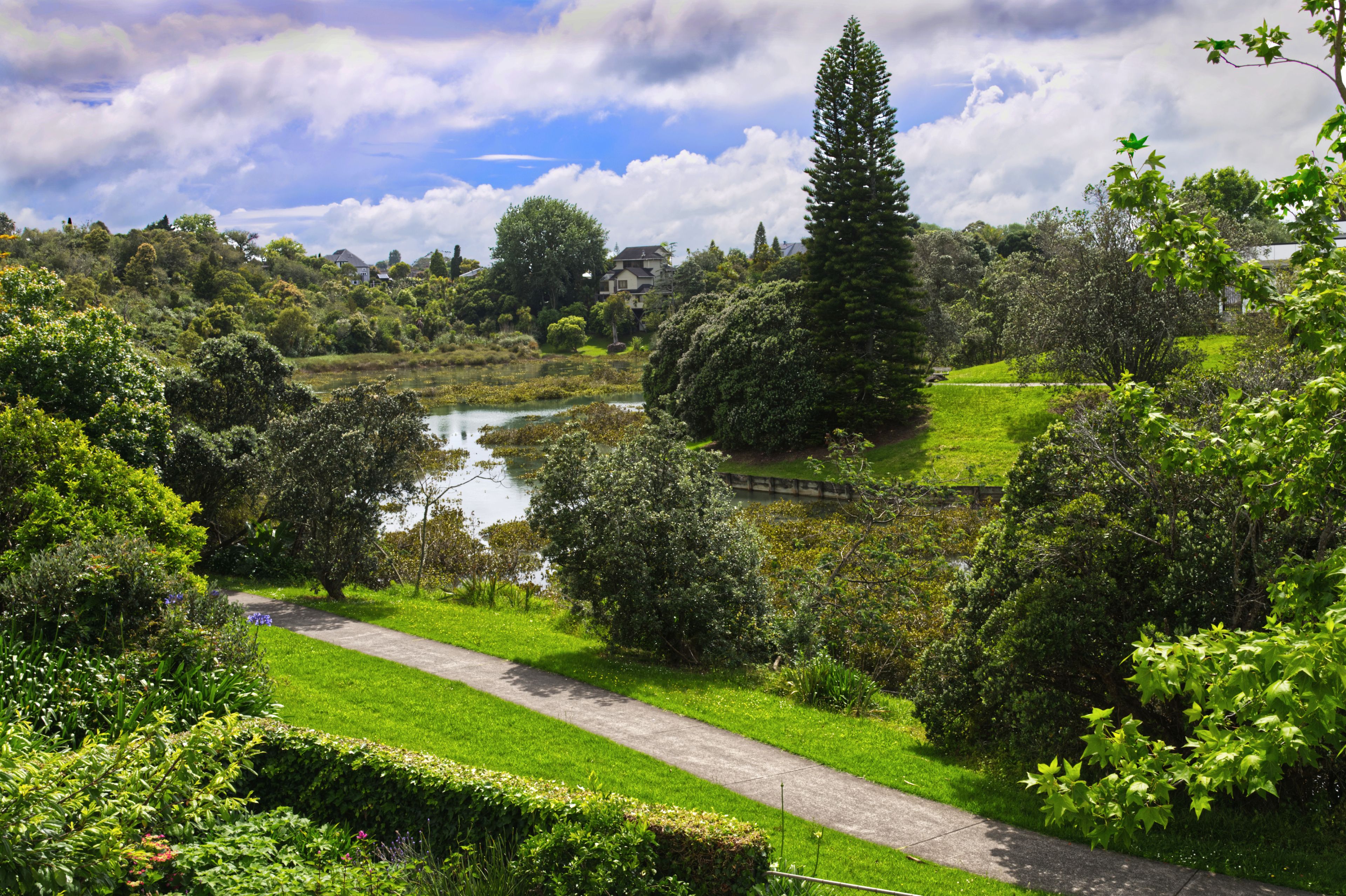 19 Davita Place, Farm Cove, Manukau City