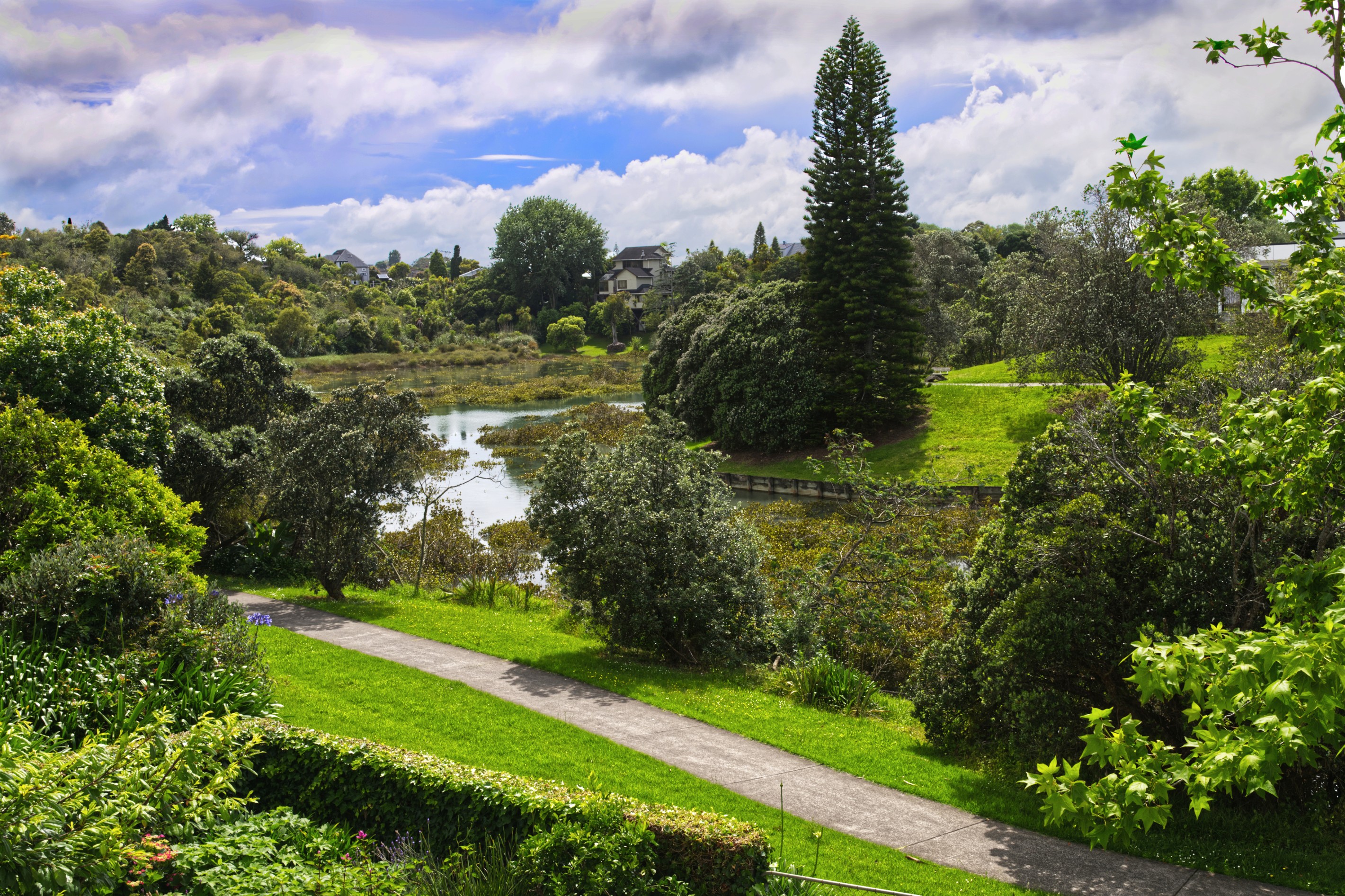 19 Davita Place, Farm Cove, Manukau City