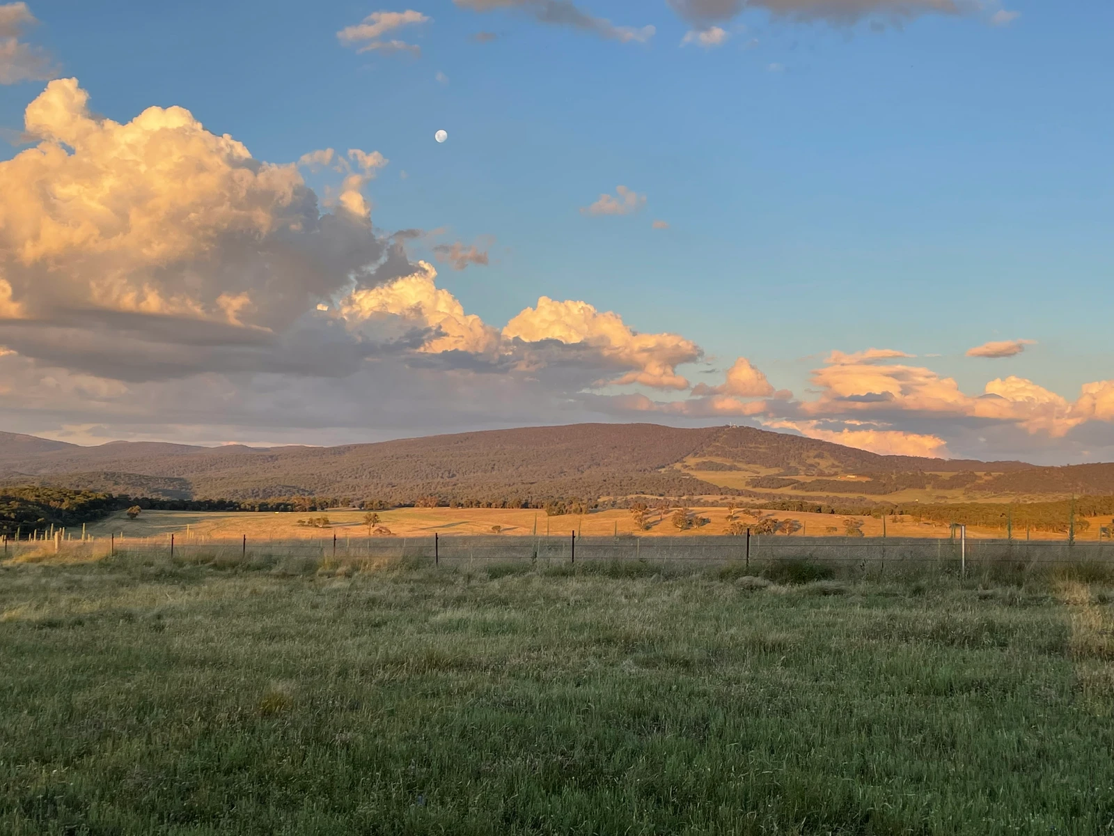 474 Jones Plain Road, Shannons Flat, NSW 2630