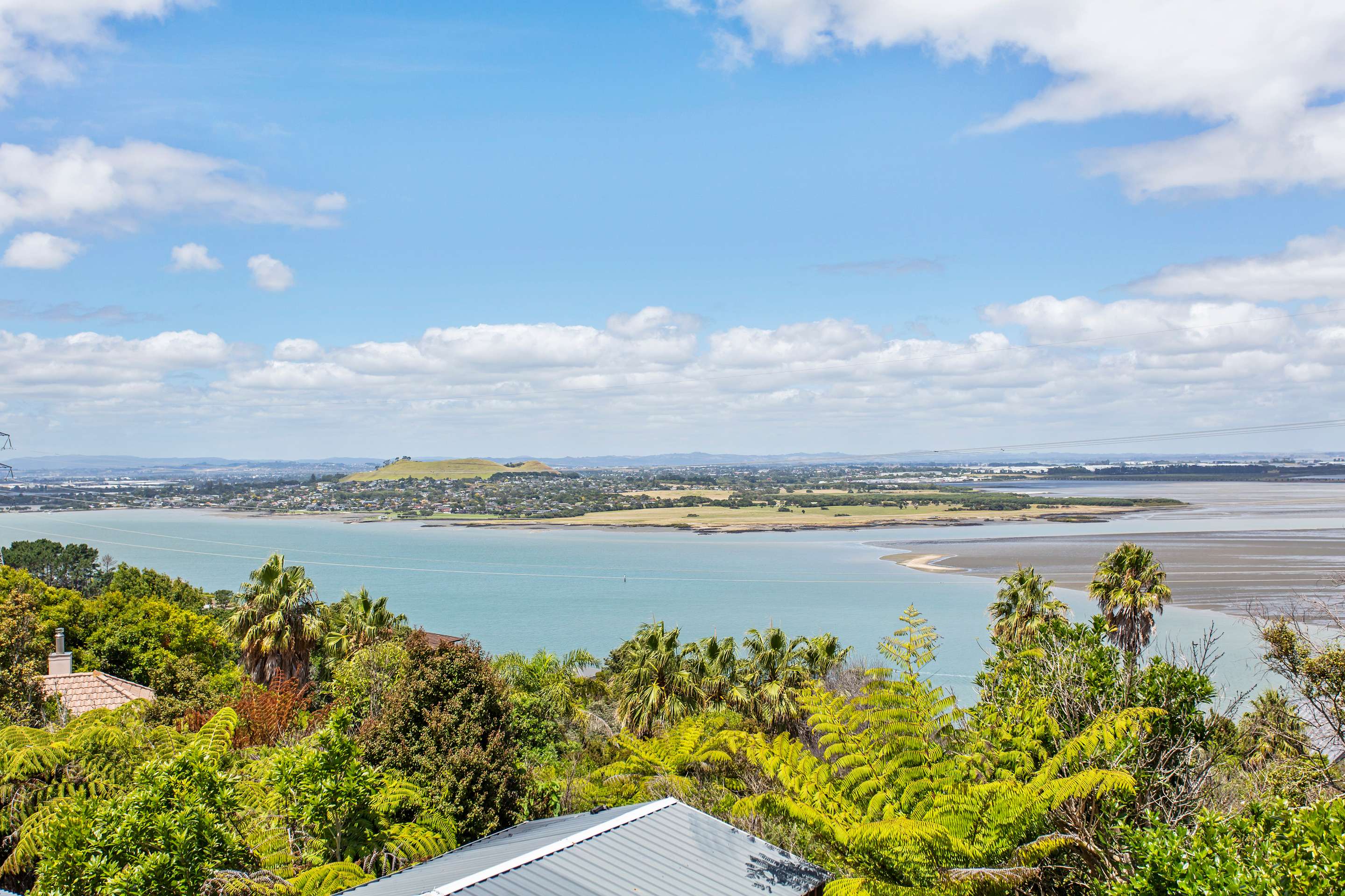 344 Hillsborough Road, Hillsborough, Auckland City Real Estate Ray