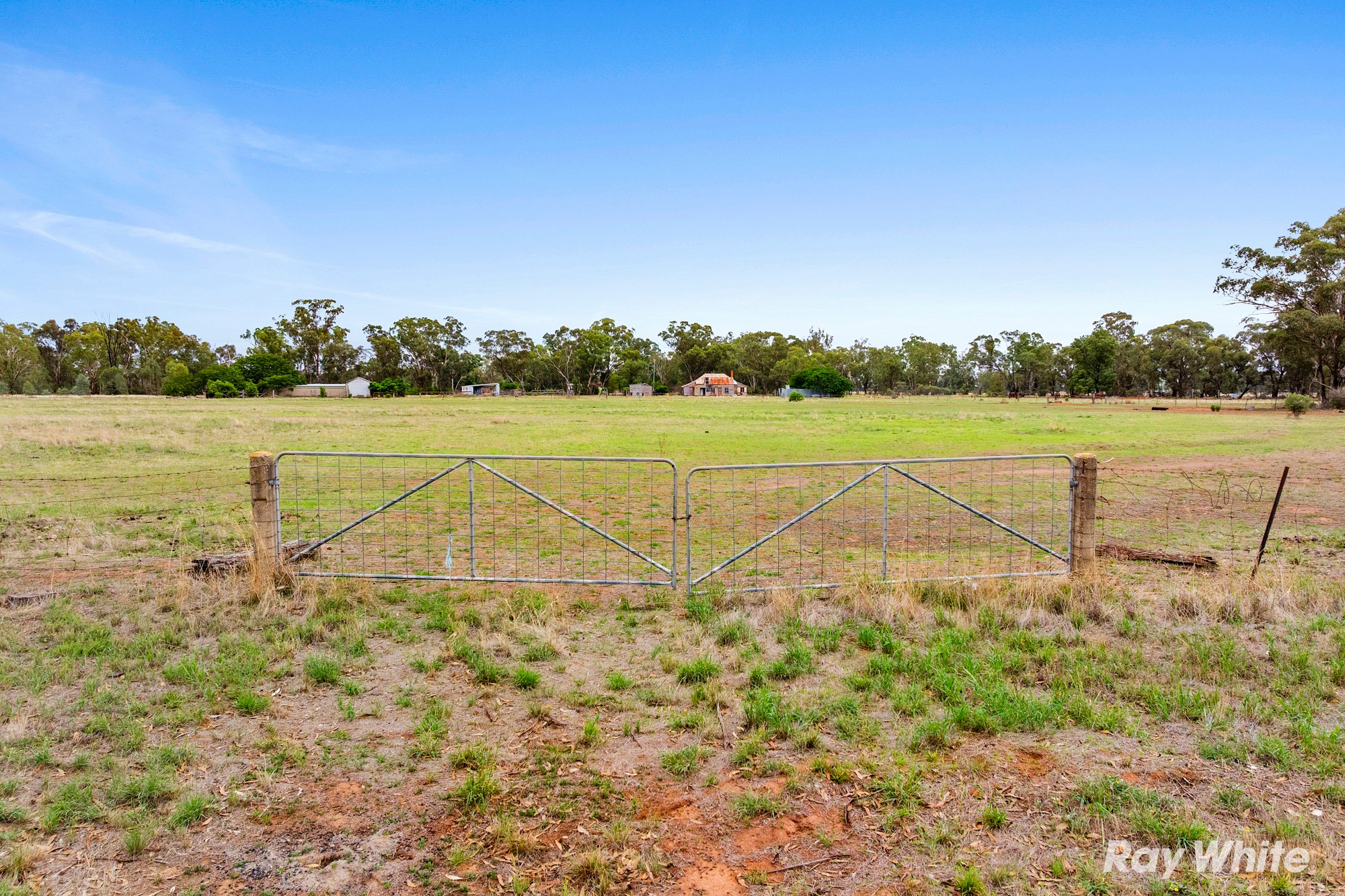 Lot 104 Hill Street, Ganmain, NSW 2702