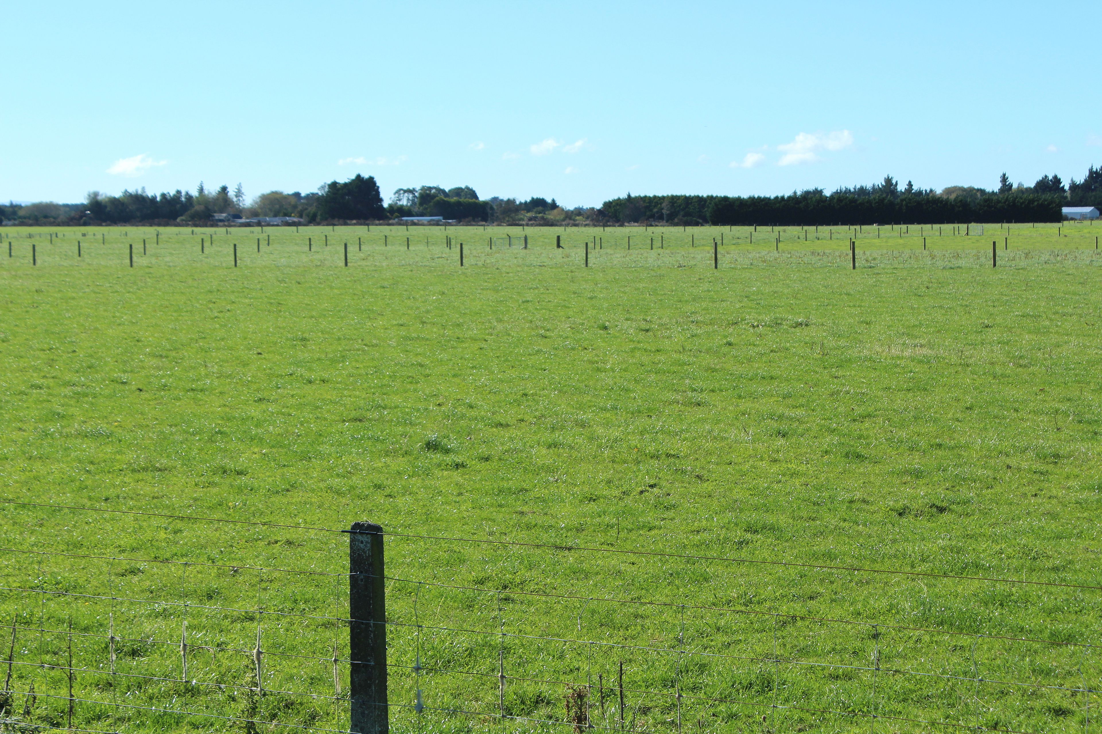 126 Wallacetown Lorneville Highway, Lorneville, Invercargill