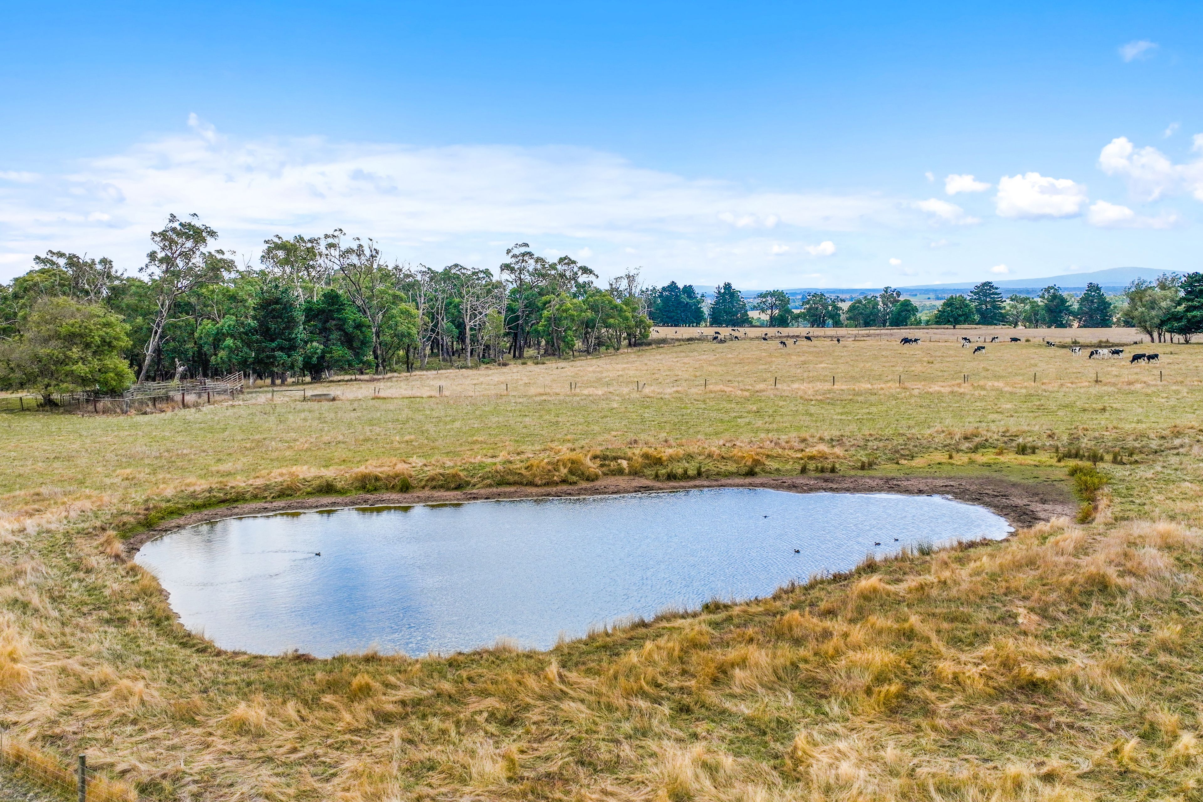 199 Orchard Road, Yarragon, VIC 3823 Rural Mixed Farming Property for