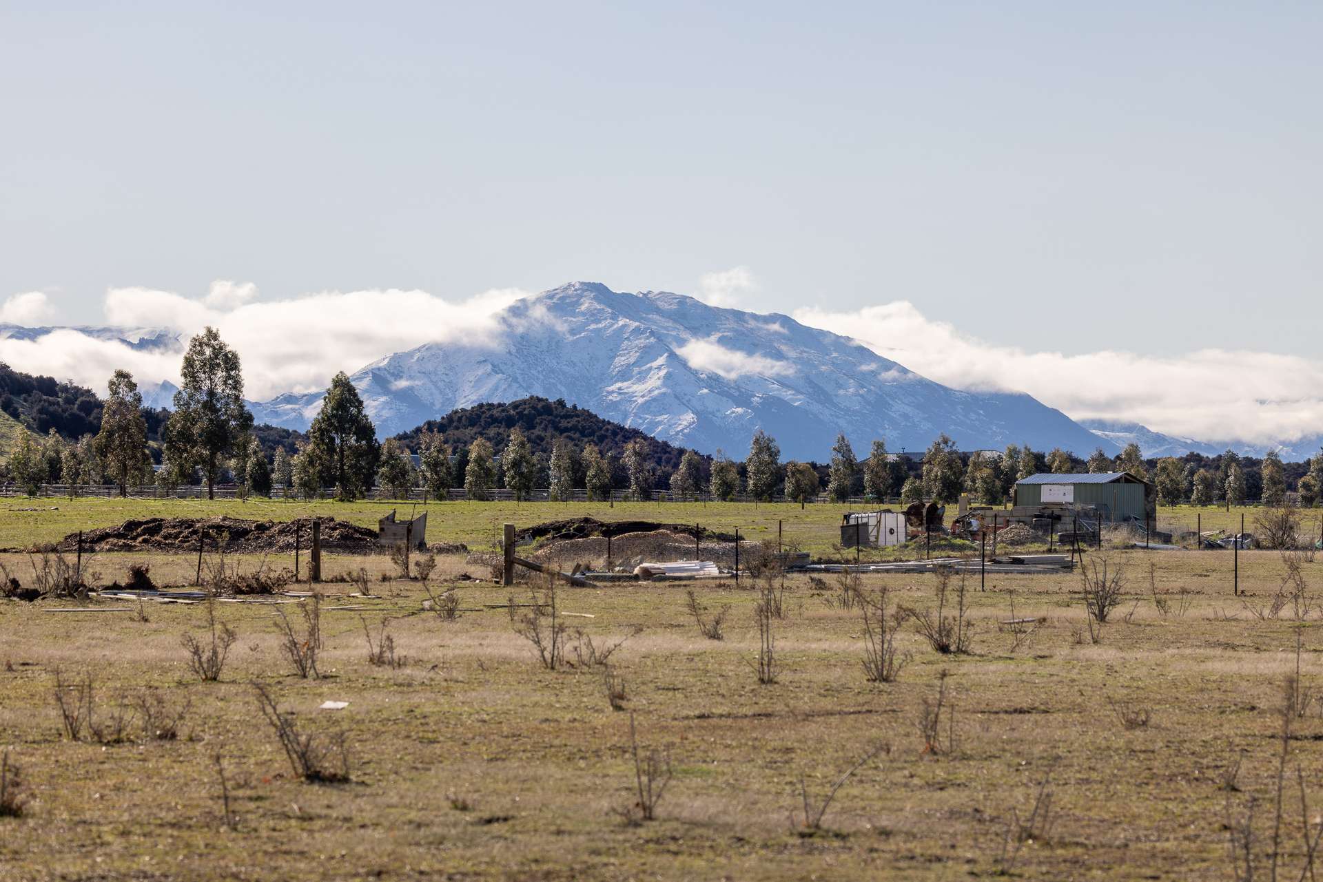 22 Totara Place photo 12