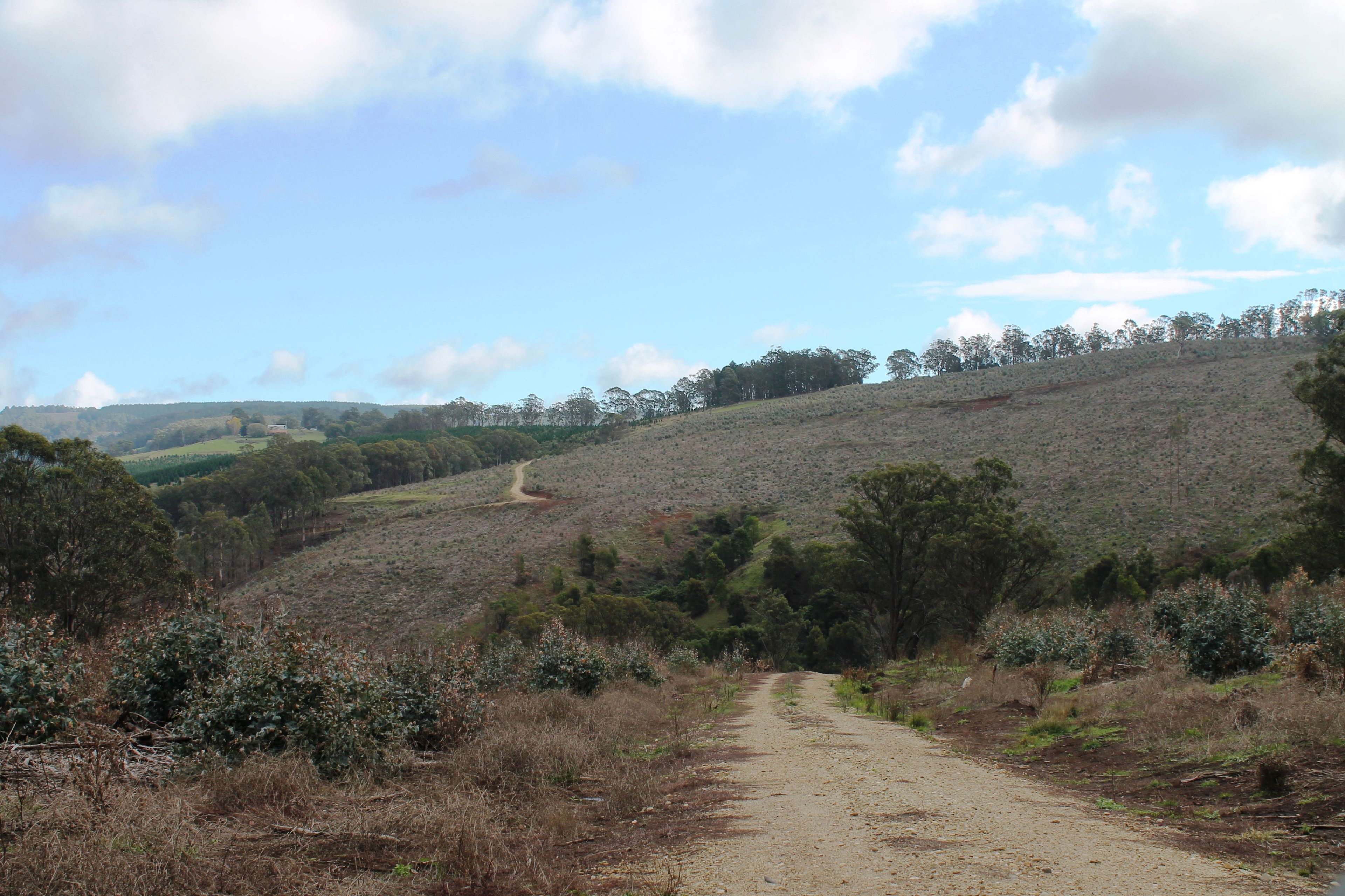 ' Rottenberry' 205 Carrajung Lower Road, Carrajung Lower, VIC 3844