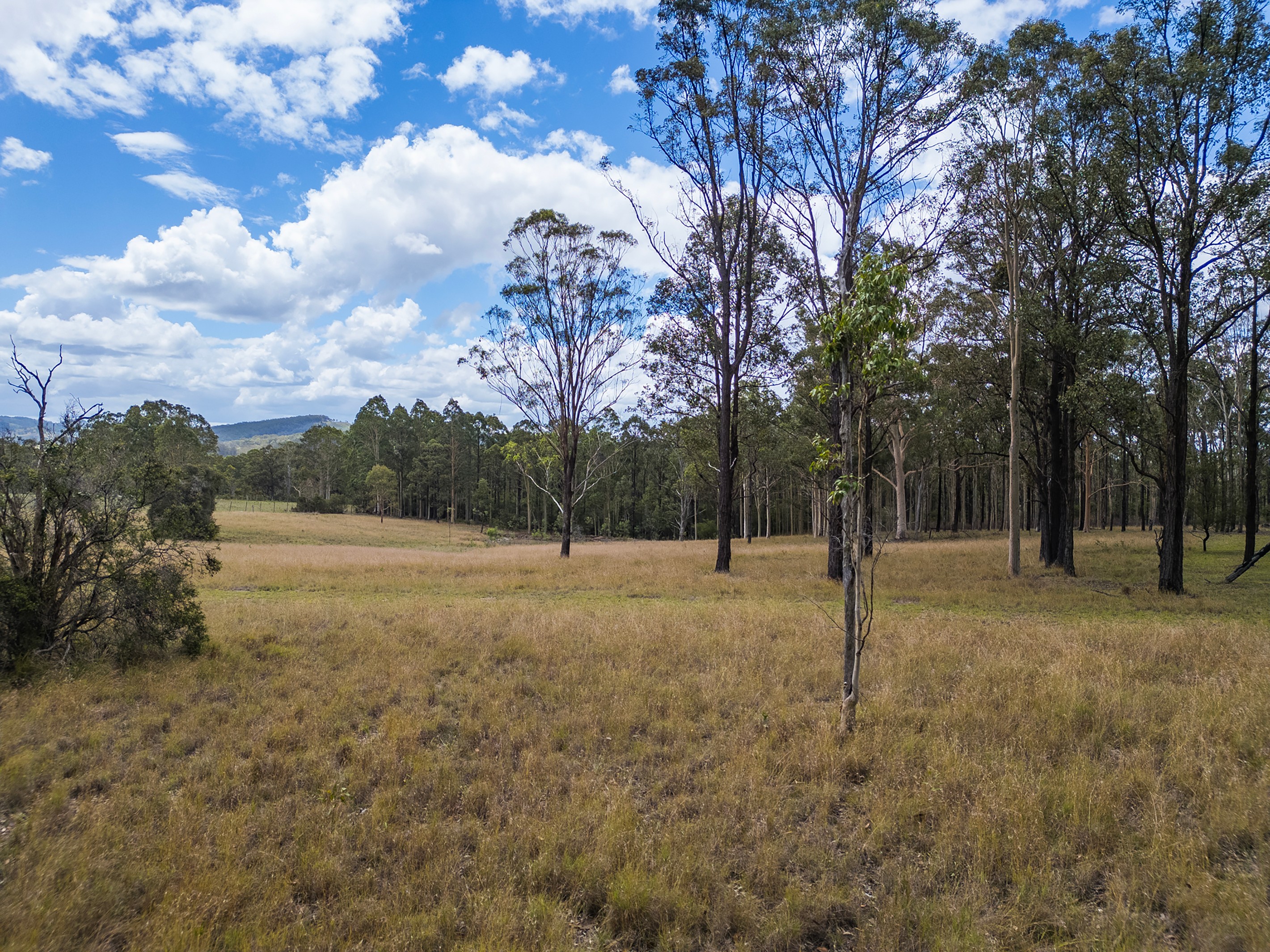 582 Wallarobba-Brookfield Road, Wallarobba, NSW 2420