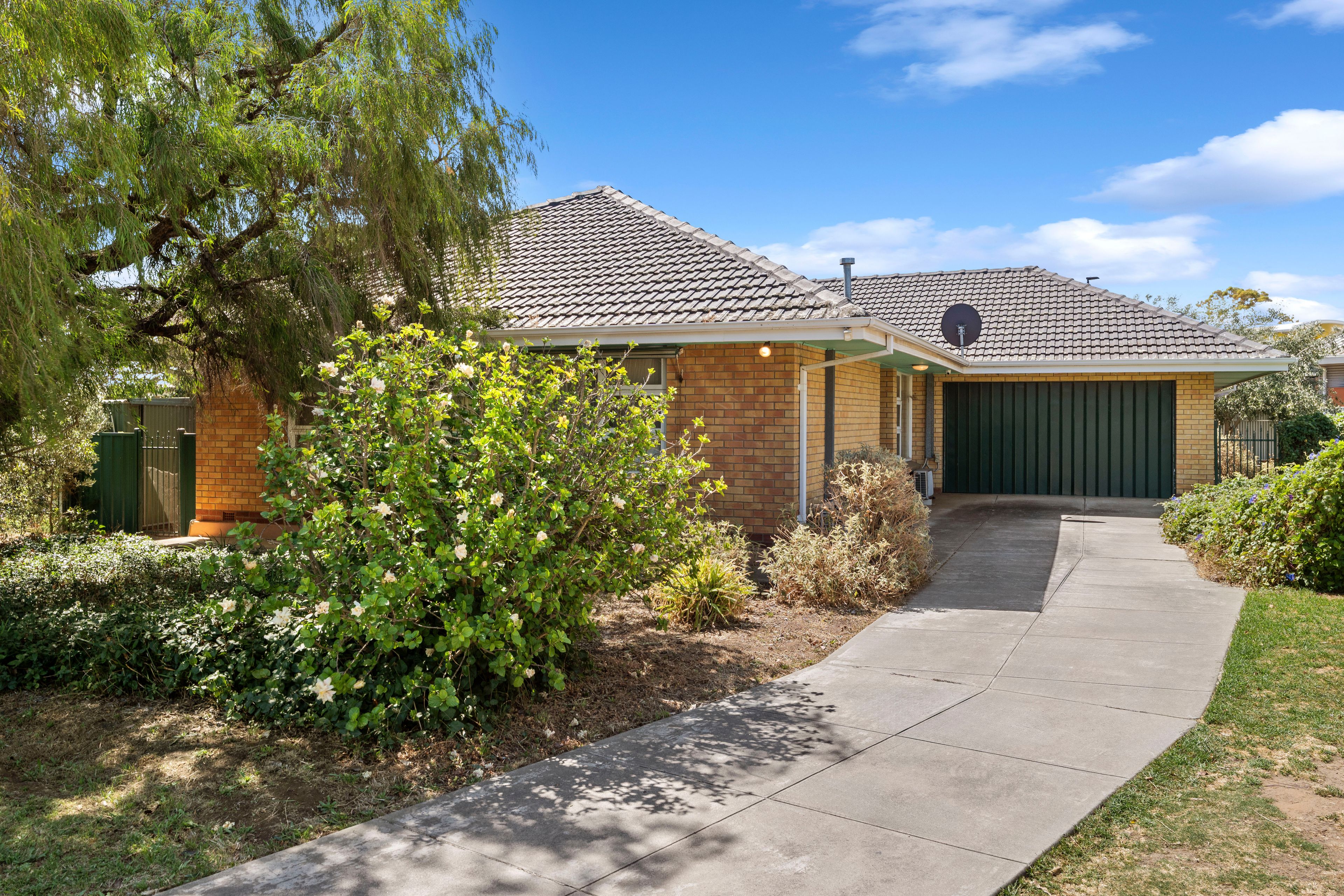 19 Lancelot Drive, Daw Park, SA 5041