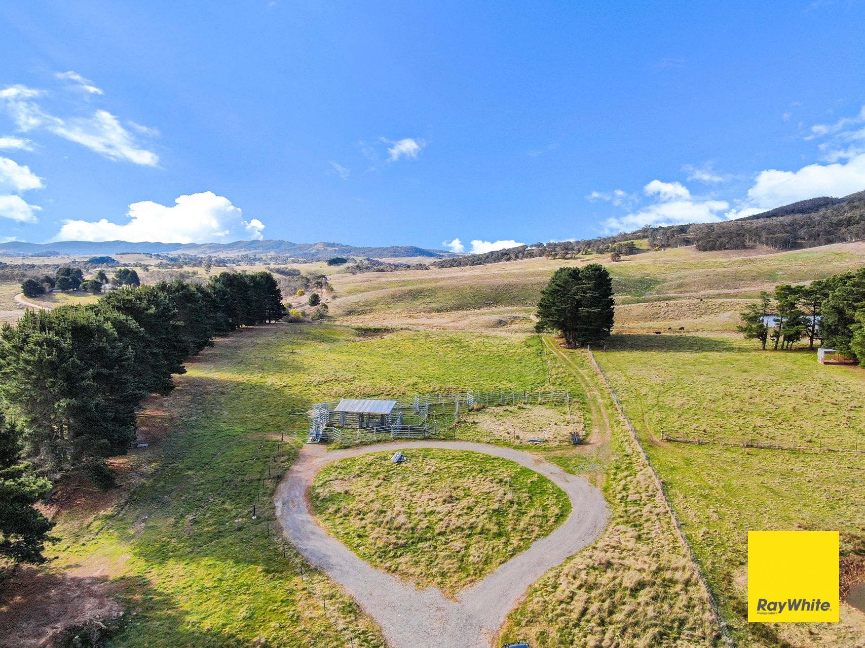 171 Willandra Lane, Tarago, NSW 2580 Land for Sale Ray White Bungendore