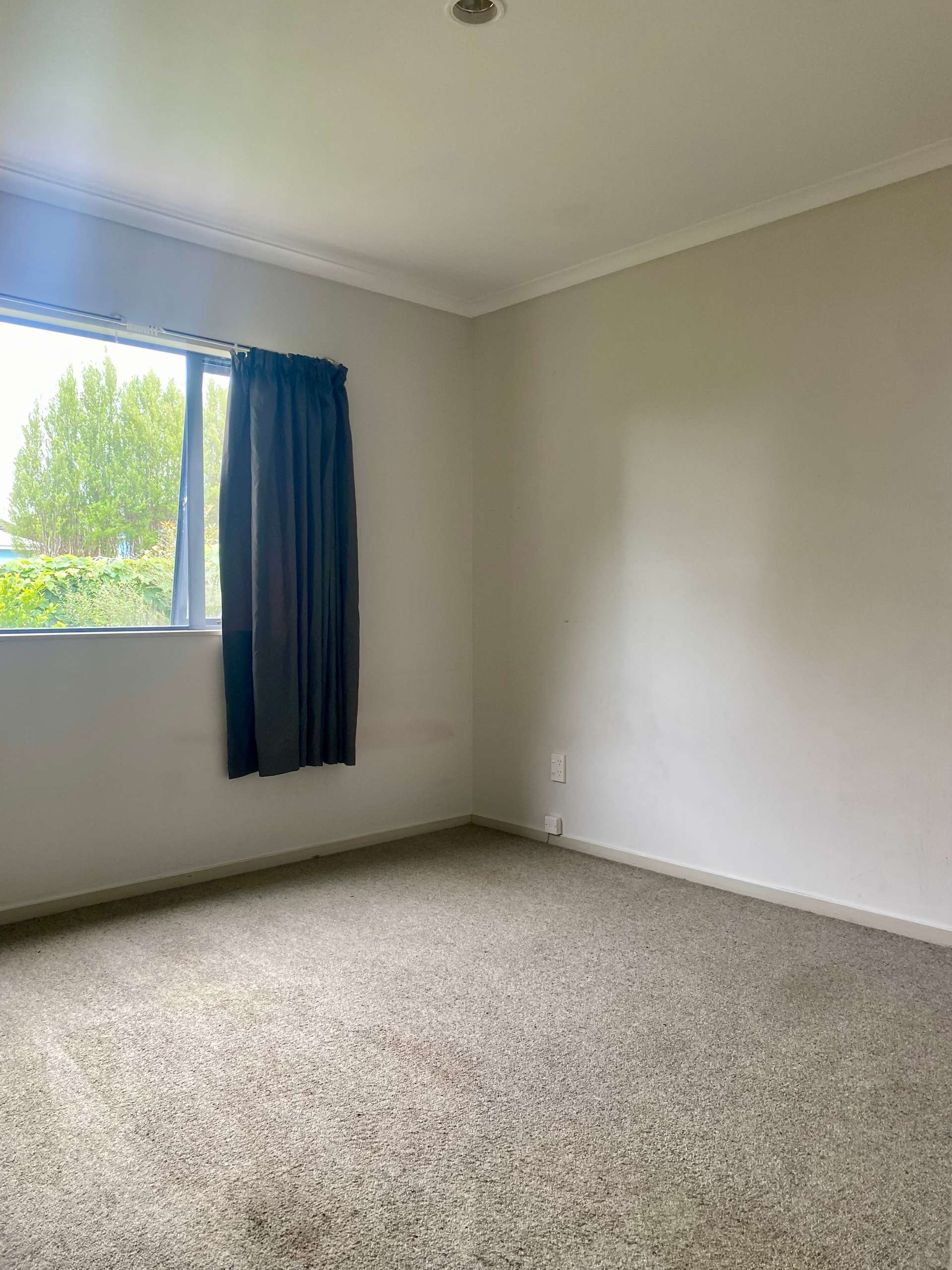 100a Fairfield Road photo 6