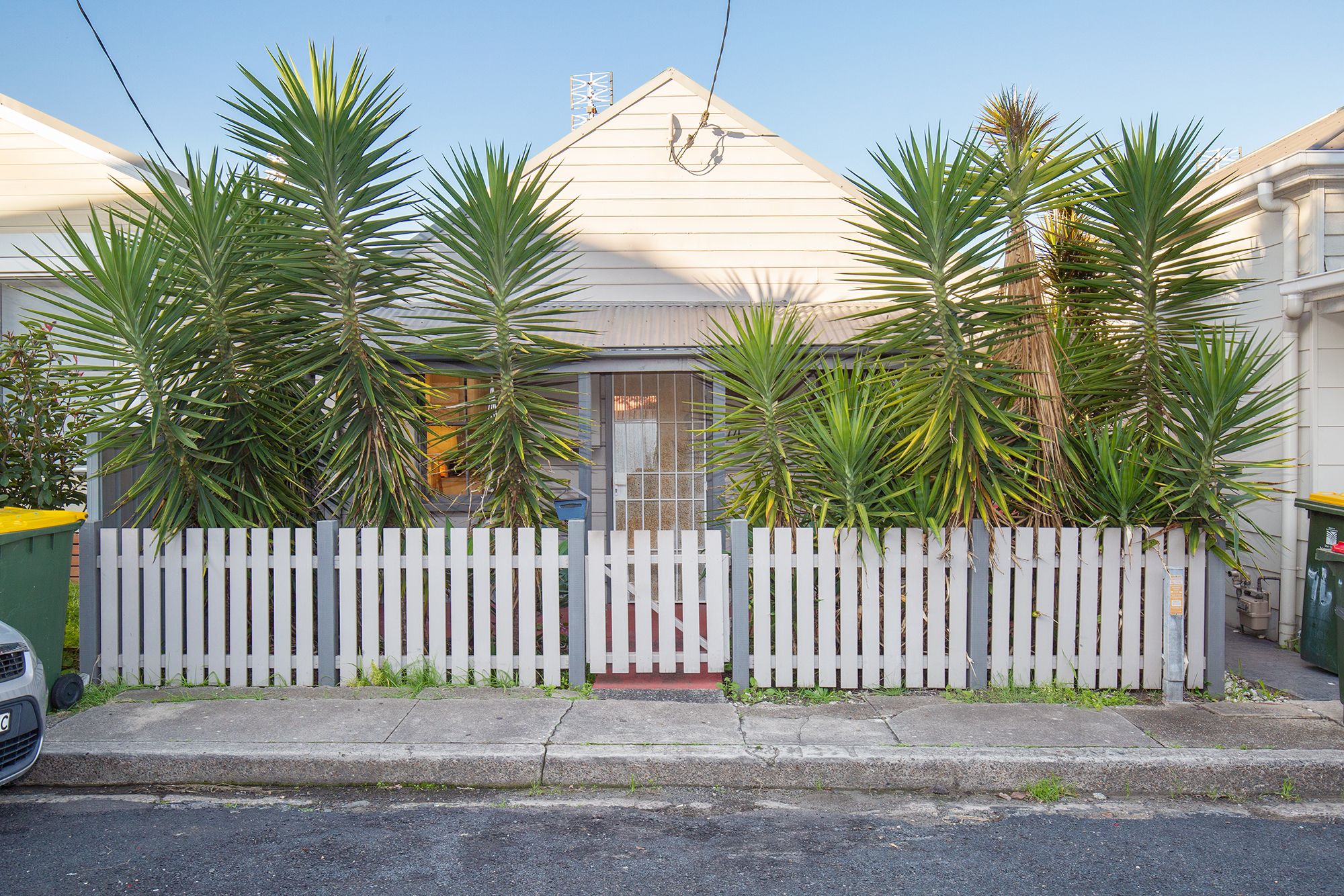 74 Rodgers Street, Carrington NSW 2294