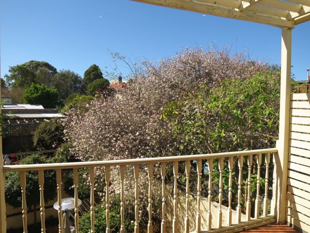 2/5 Young Street, Annandale, NSW 2038