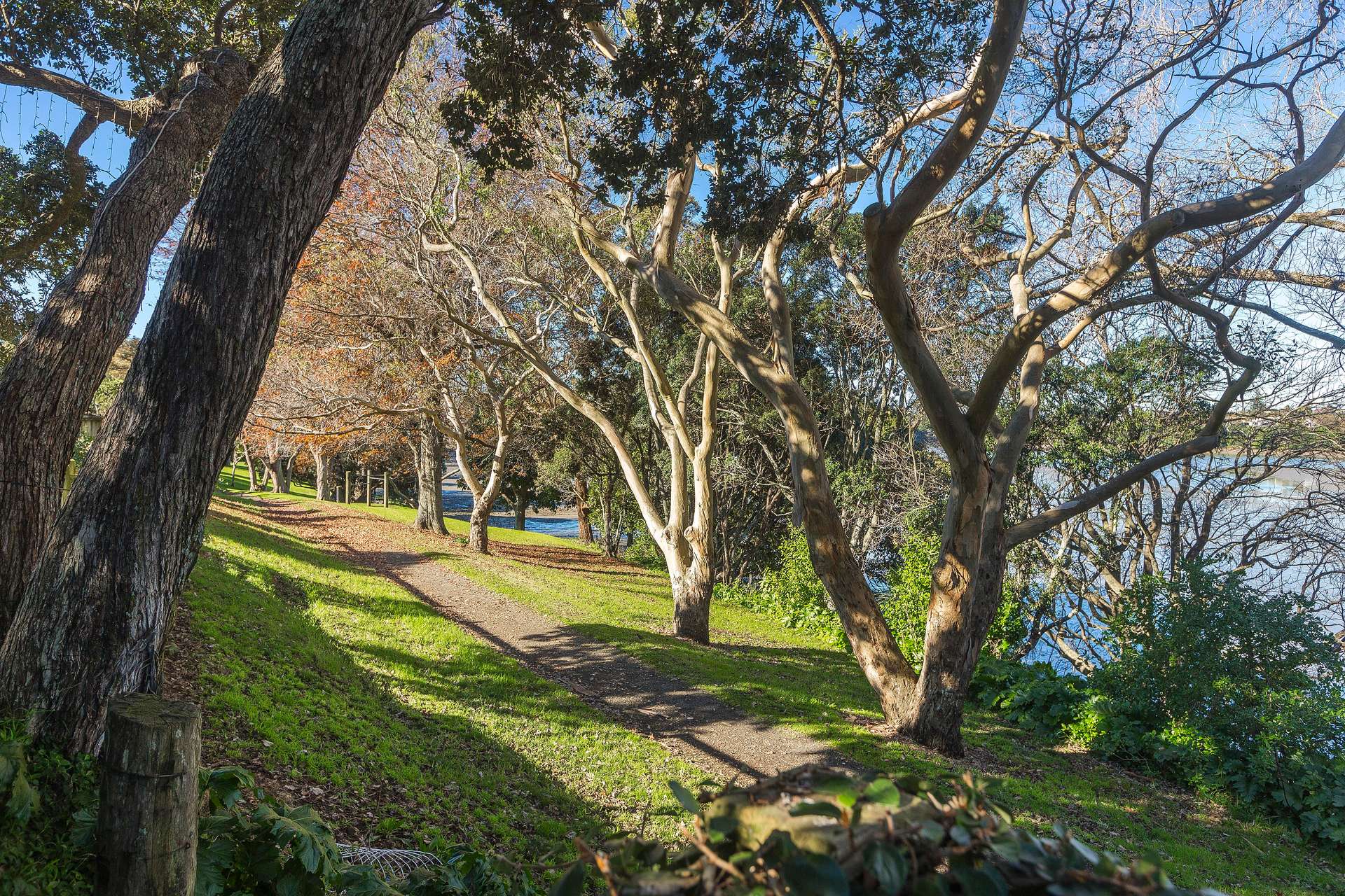 Mount Wellington  Auckland City  1060 photo 3