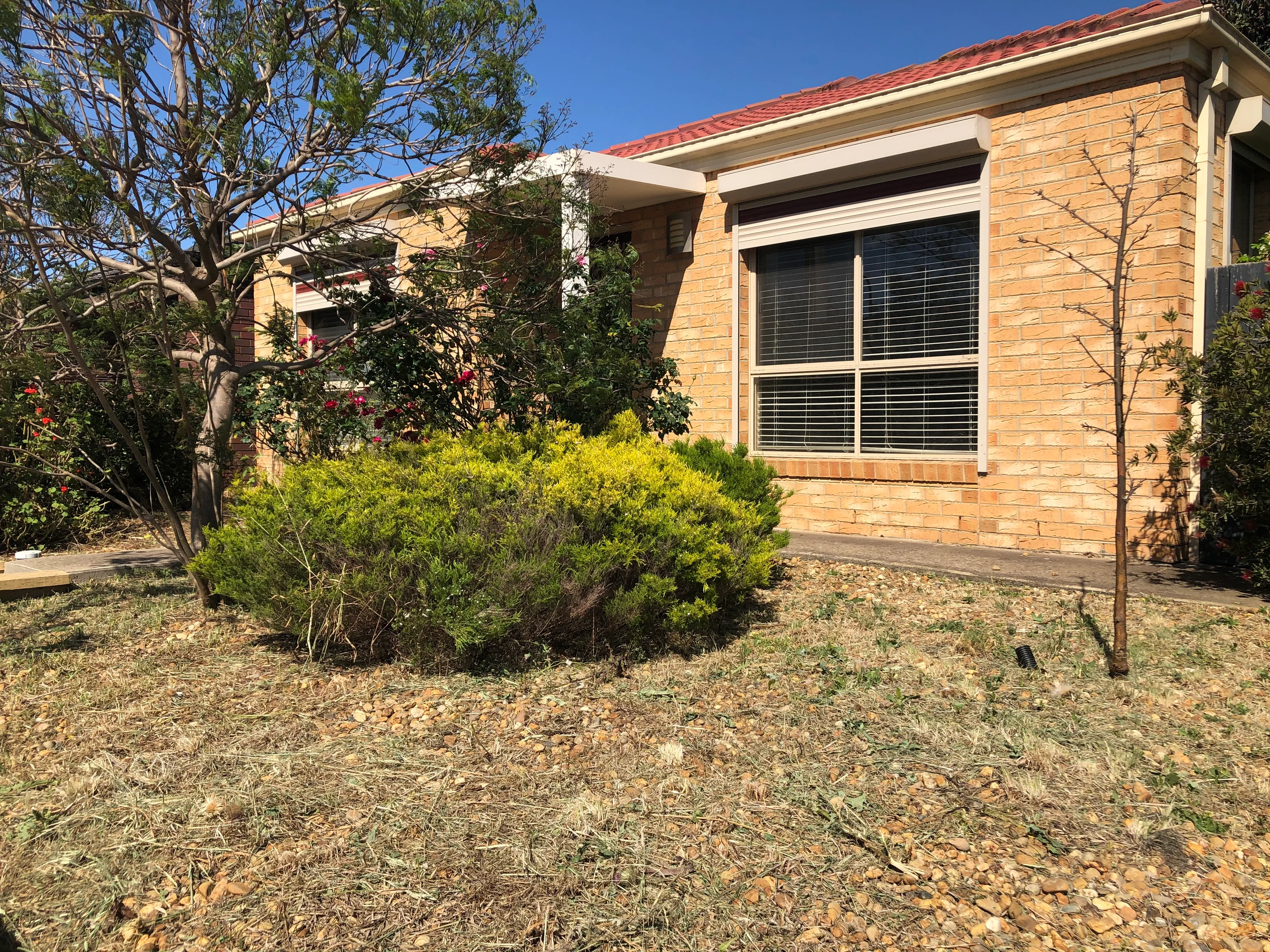 31 Summerhill Street, Tarneit, VIC 3029