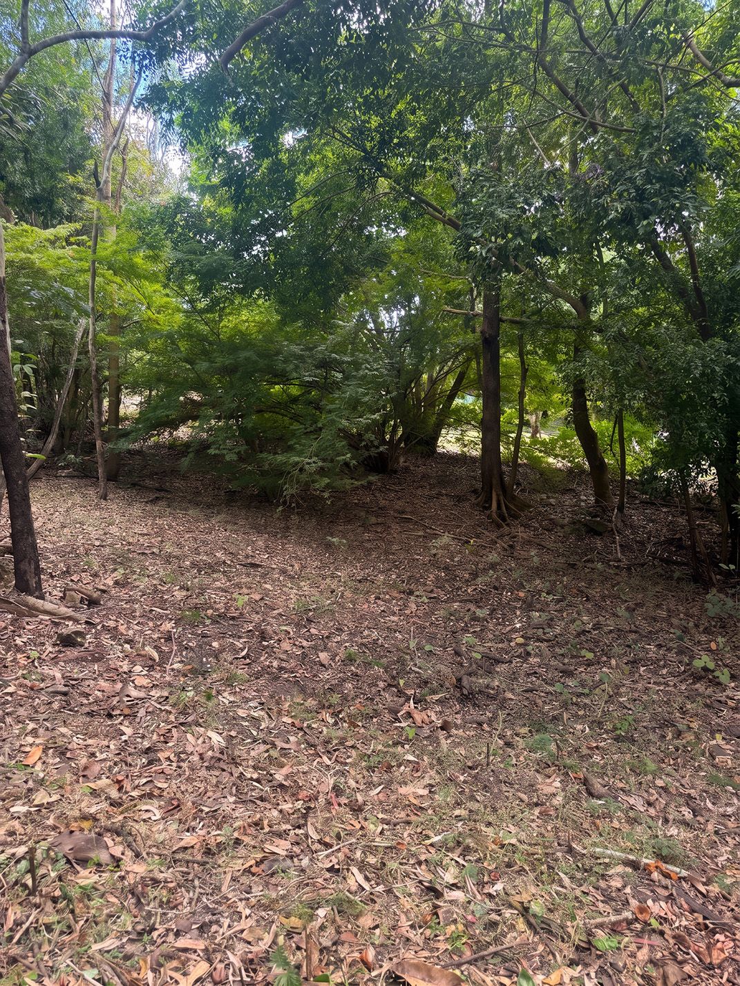 68 Bennett Road — photo 8 of 25