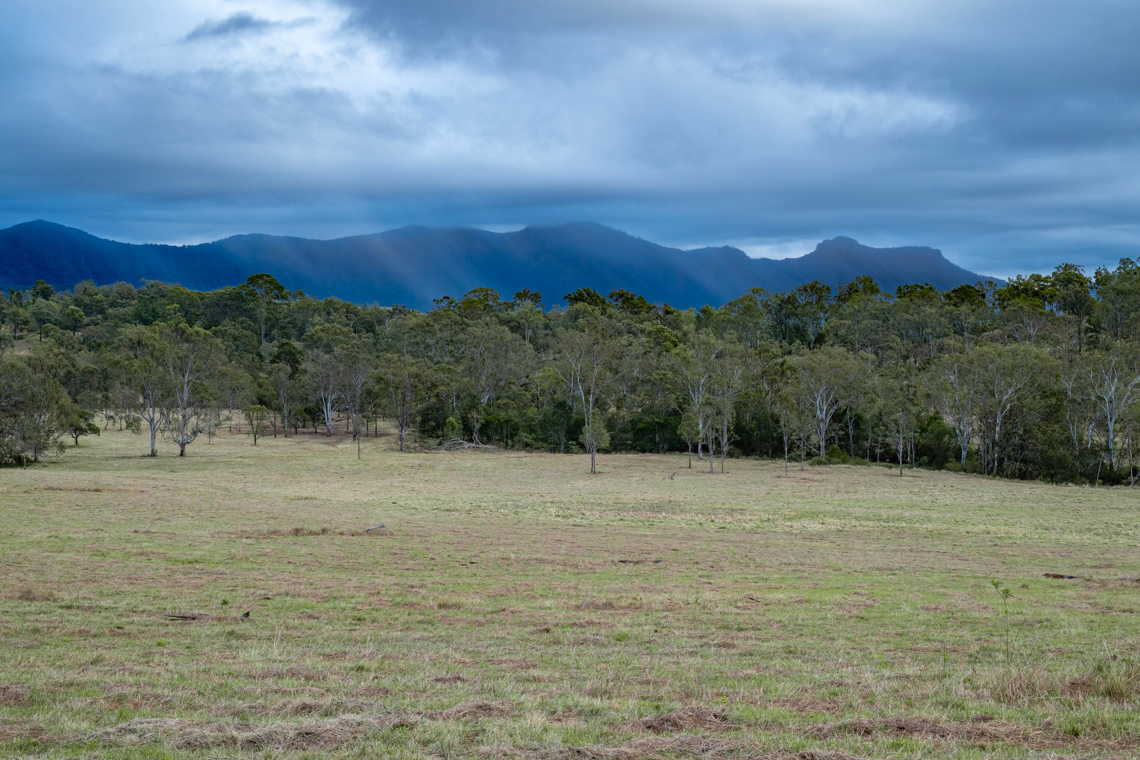 0 Cunningham Highway — photo 8 of 22