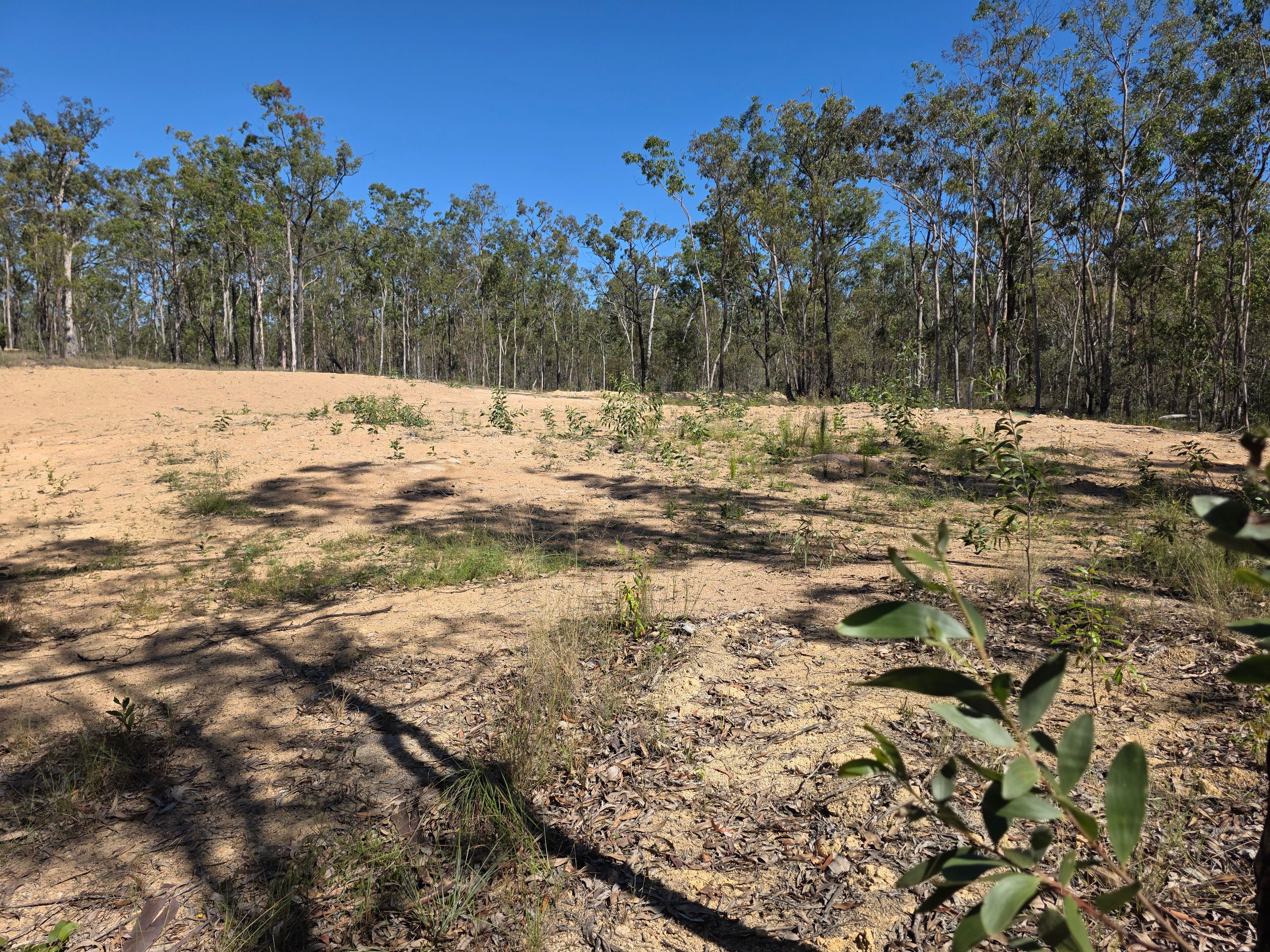 428 Bruxner Road — photo 8 of 18