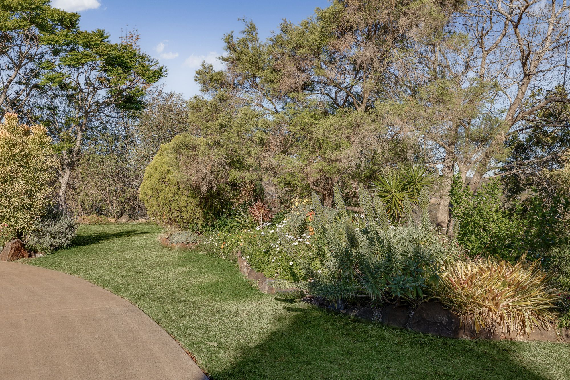 4 Doyle Court — photo 3 of 18