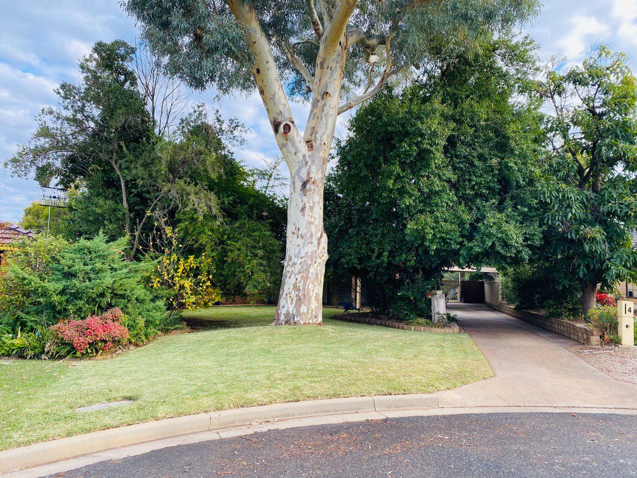 6 Craft Crescent, Condobolin, NSW 2877