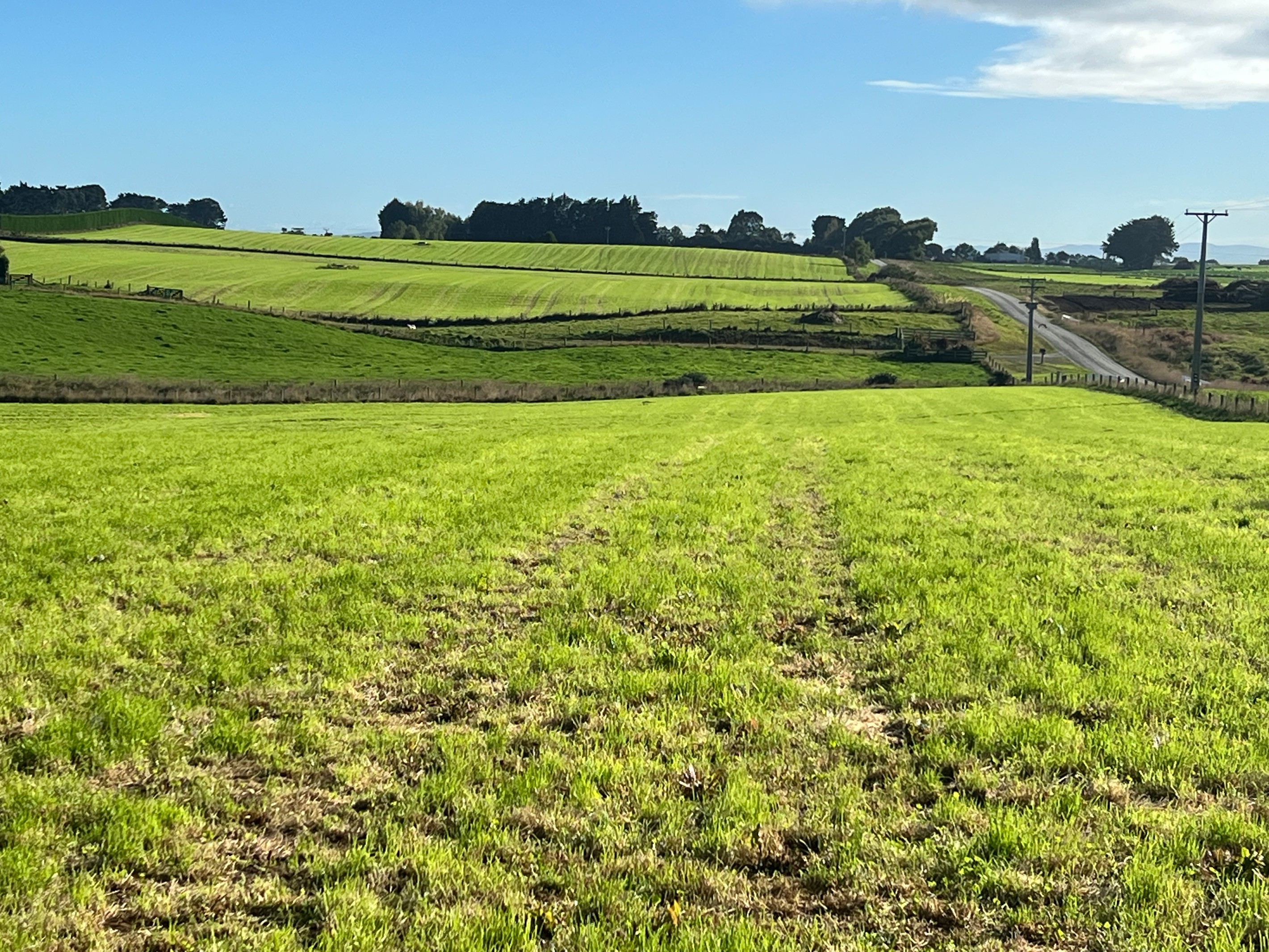 62 Blondell Road, Waimatua, Southland District