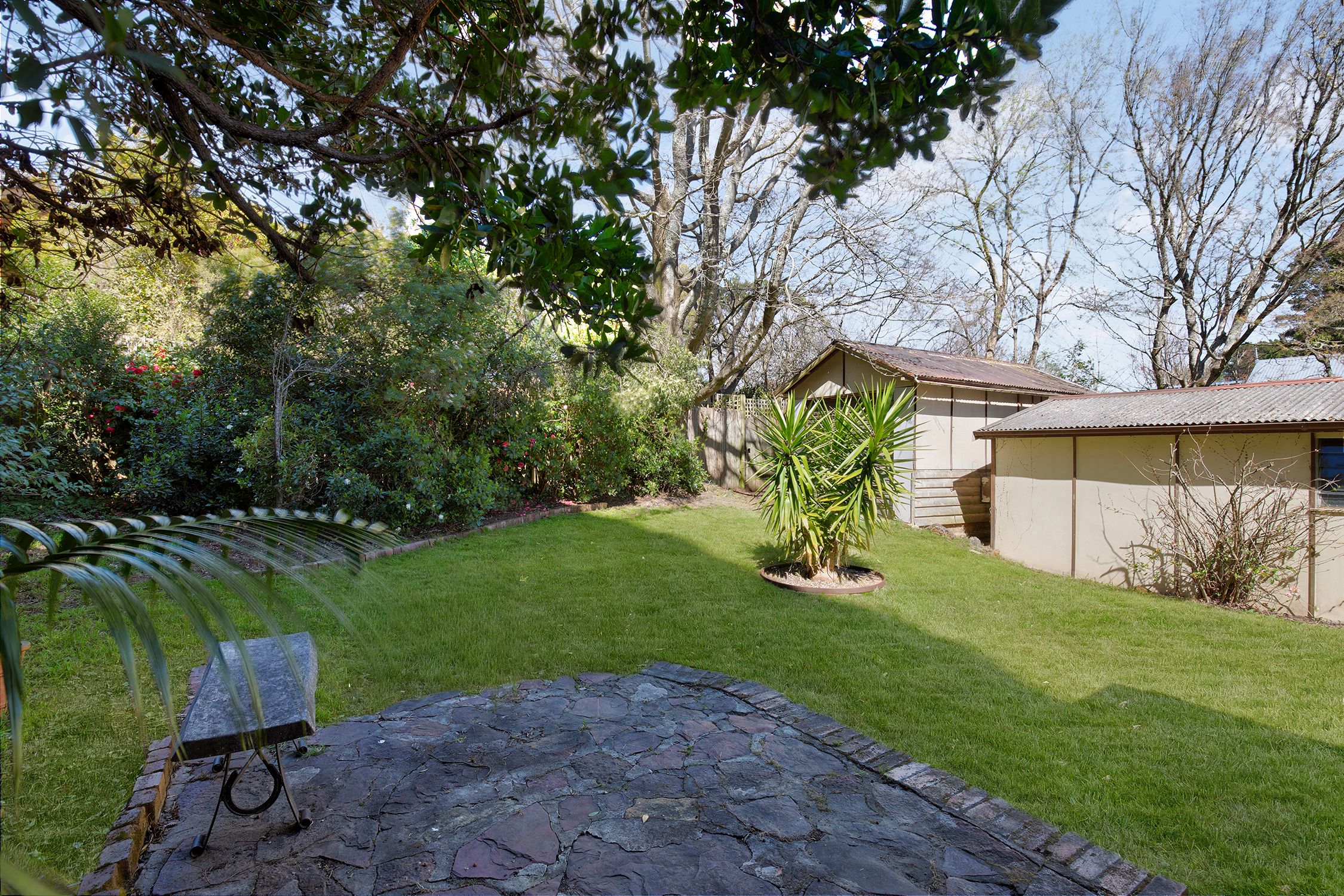 53 Leichhardt Street — photo 10 of 15