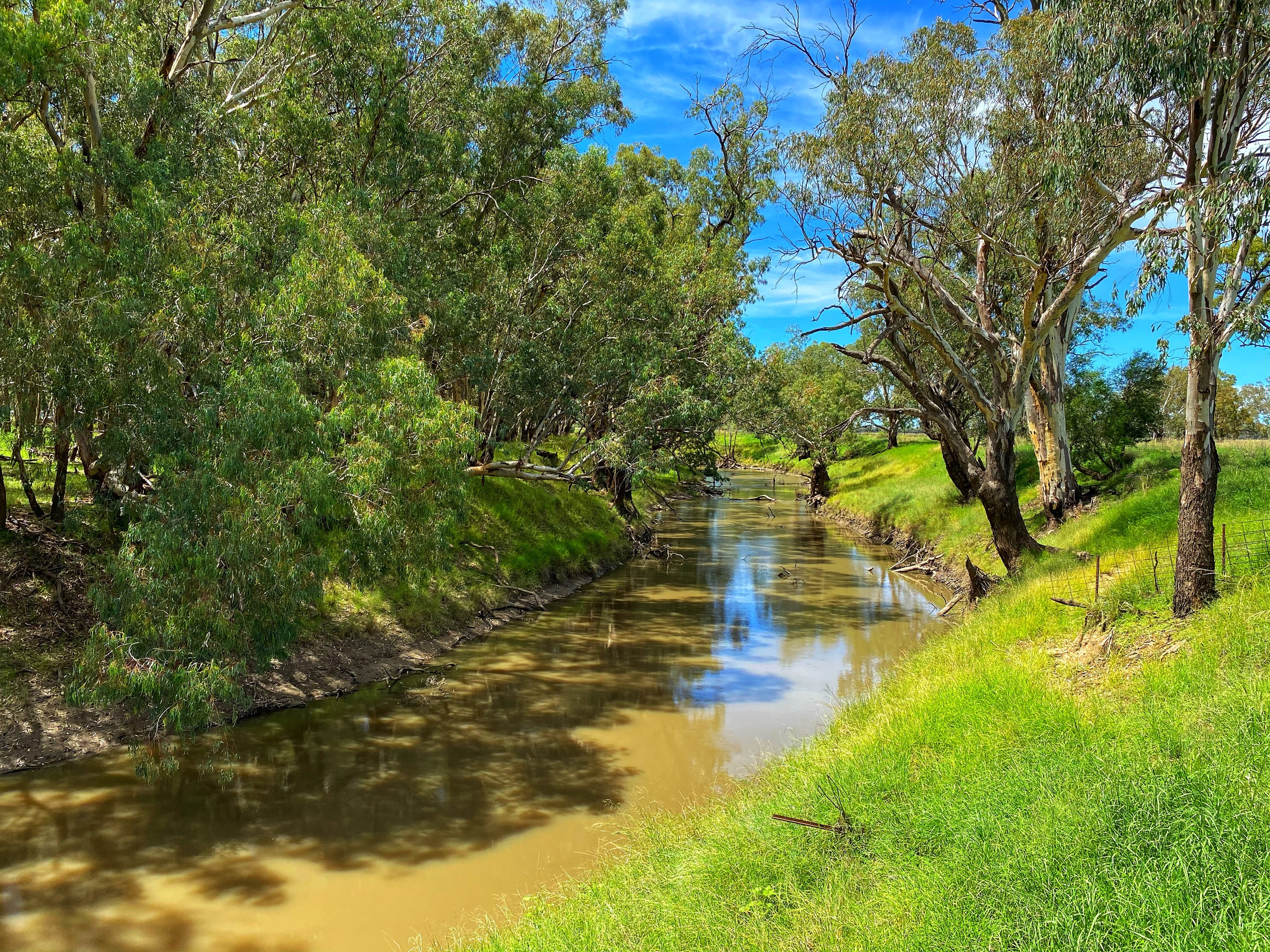 8648 Lachlan Valley Way, Condobolin, NSW 2877