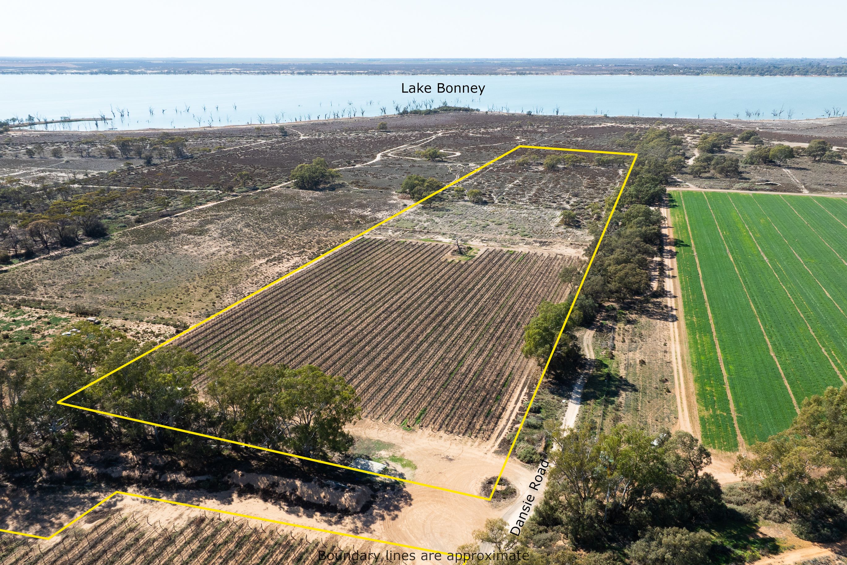 Lot 12 Dansie Road, Barmera, SA 5345