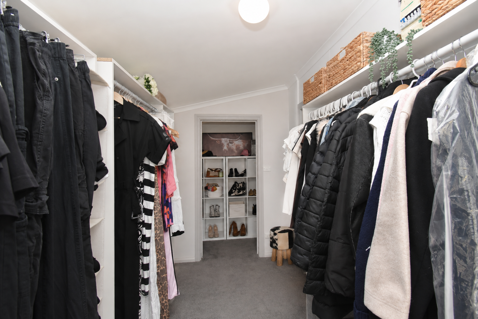 83 Whiteley Street — photo 17 of 30