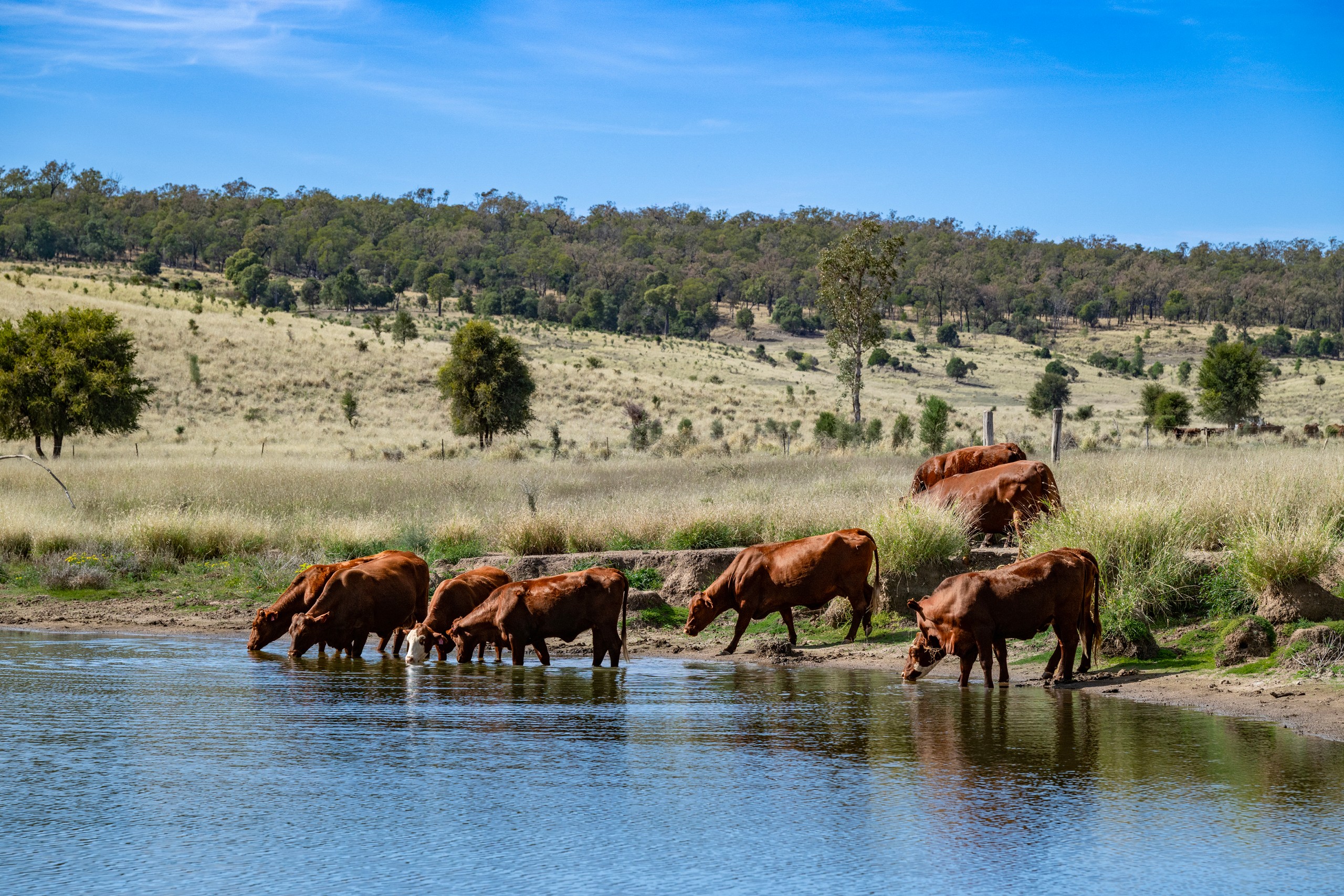 3215 Cracow Road, Taroom, QLD 4420