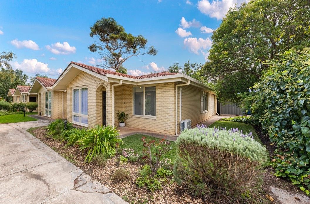 4/59 Palmerston Road, Unley, SA 5061