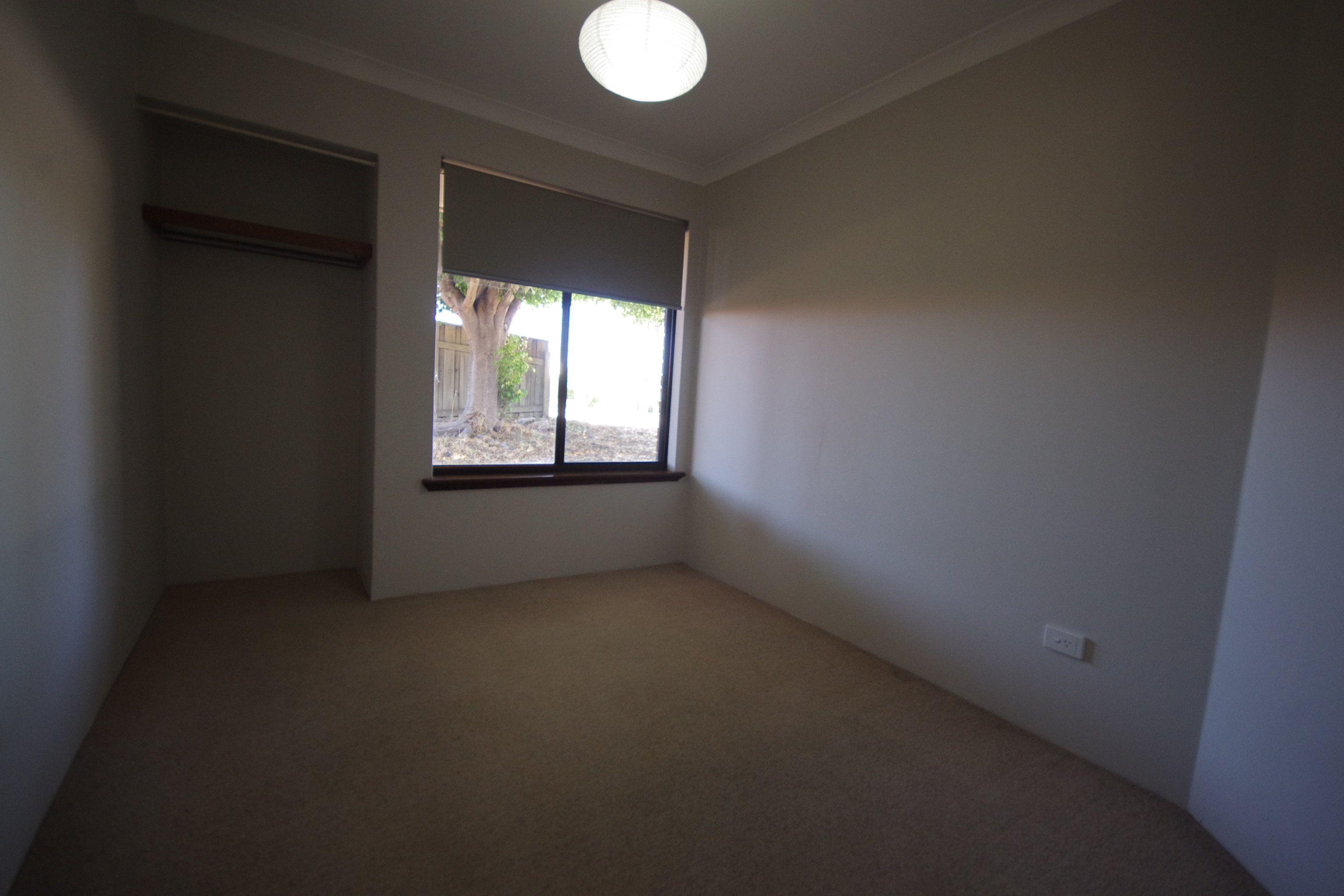 5 Frew Court — photo 11 of 13