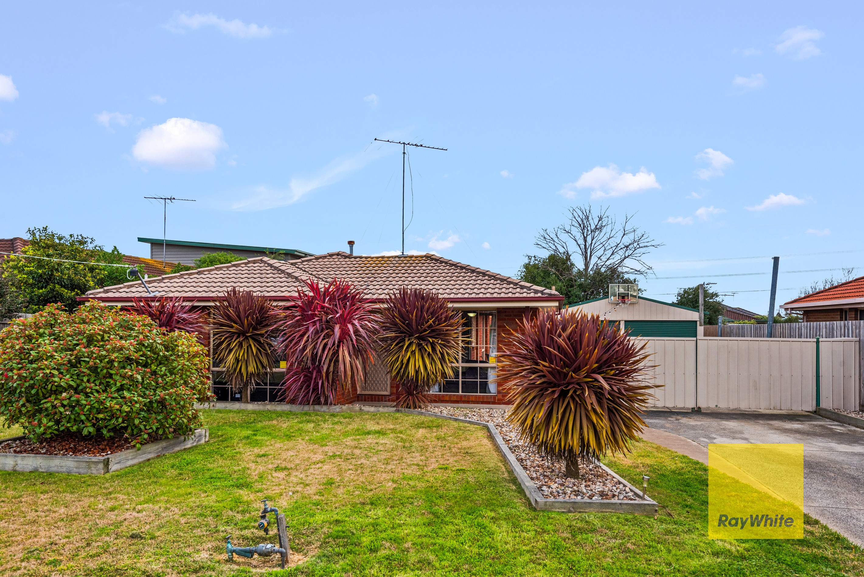 17 Jenolan Avenue, Grovedale, VIC 3216