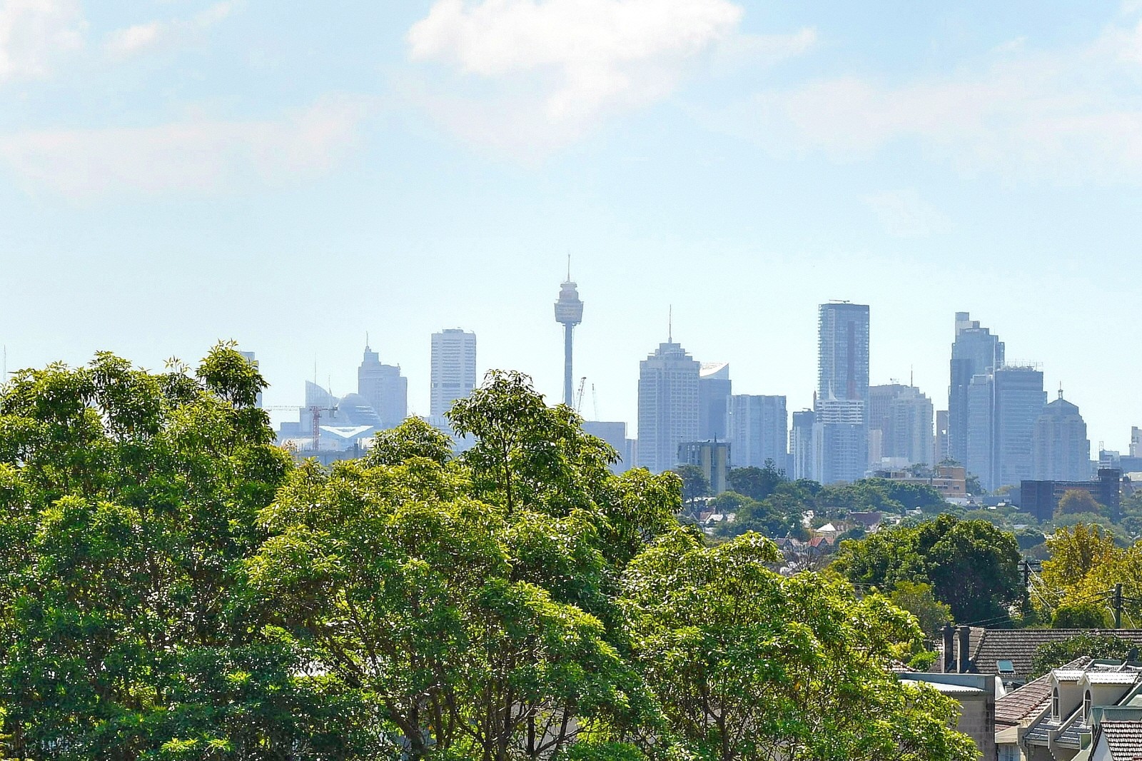 8/8-10 Schwebel Street, Marrickville, NSW 2204