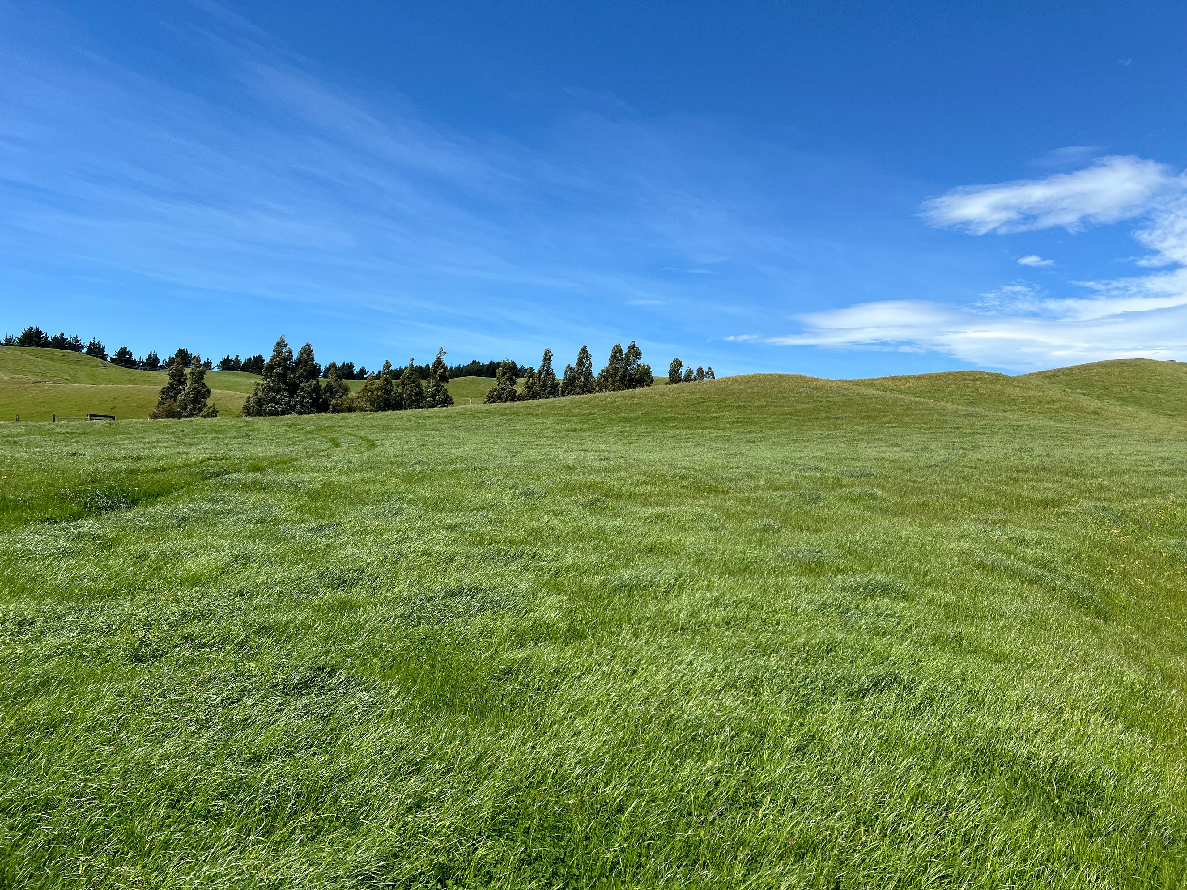 365 Caseys Road, Blenheim, Marlborough District