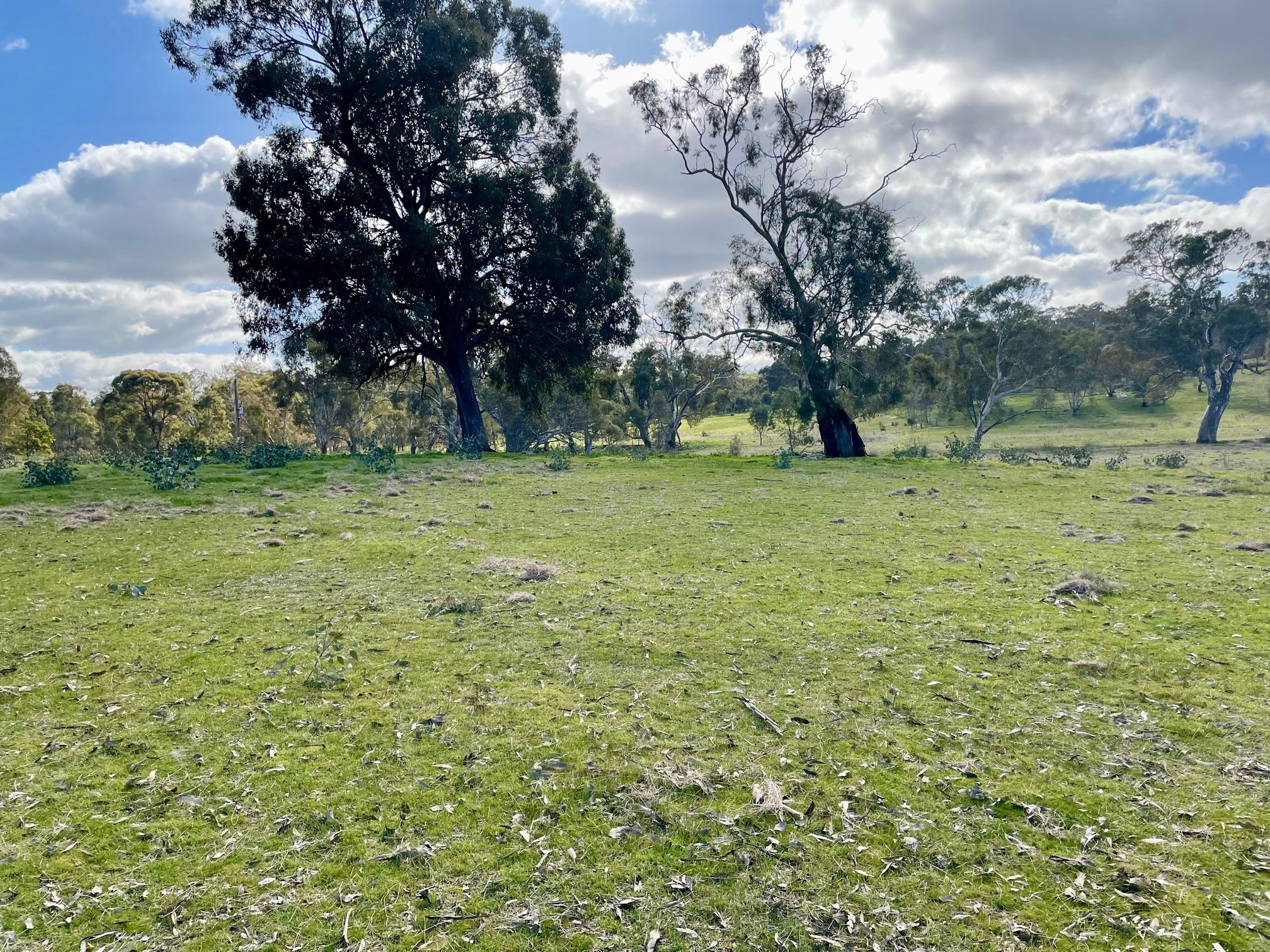 Lot 2 530 Spring Flat Road, Heathcote, VIC 3523 Sold Land Ray White
