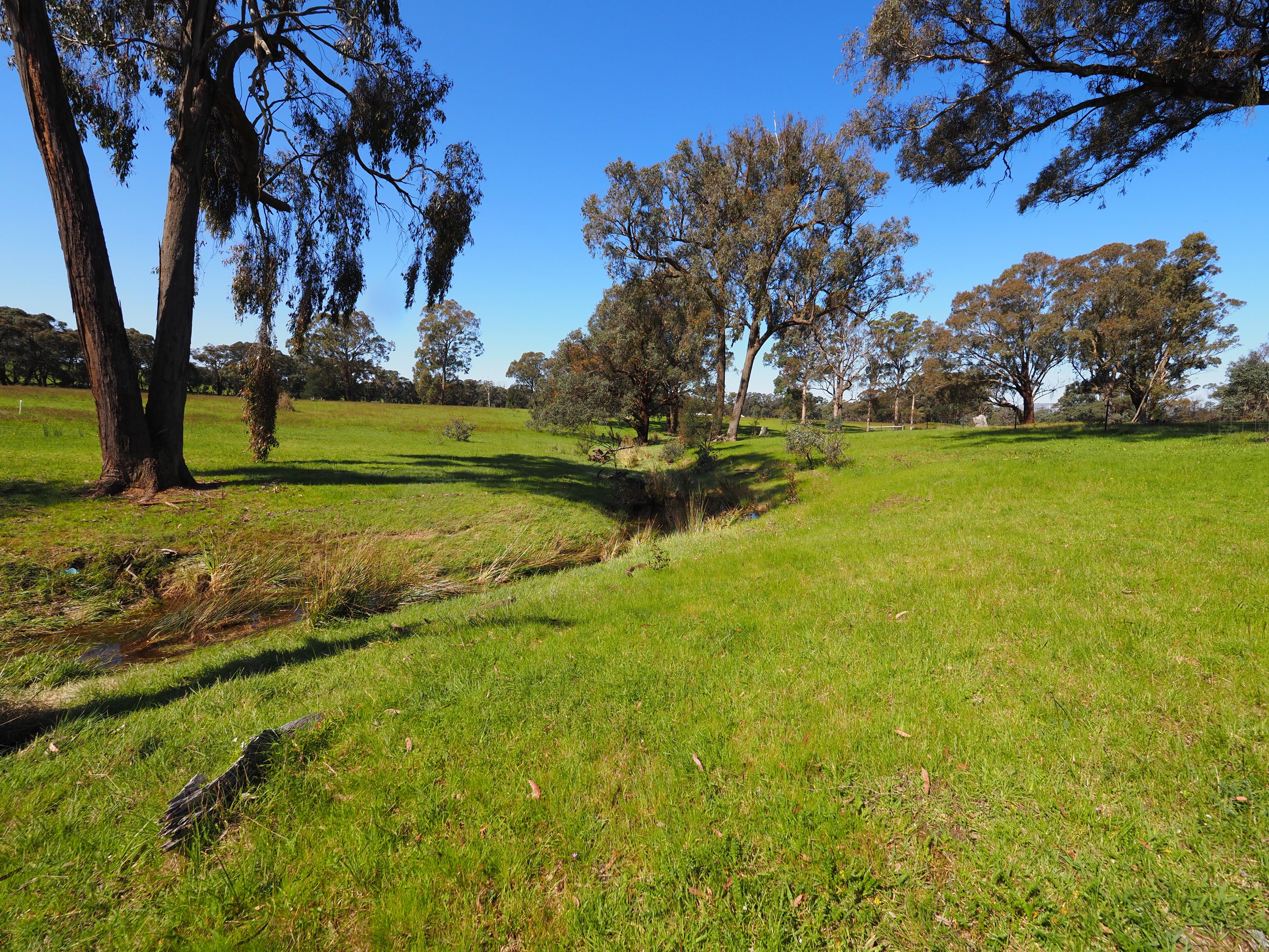51 Armstrong Lane, WATERLOO, VIC 3373