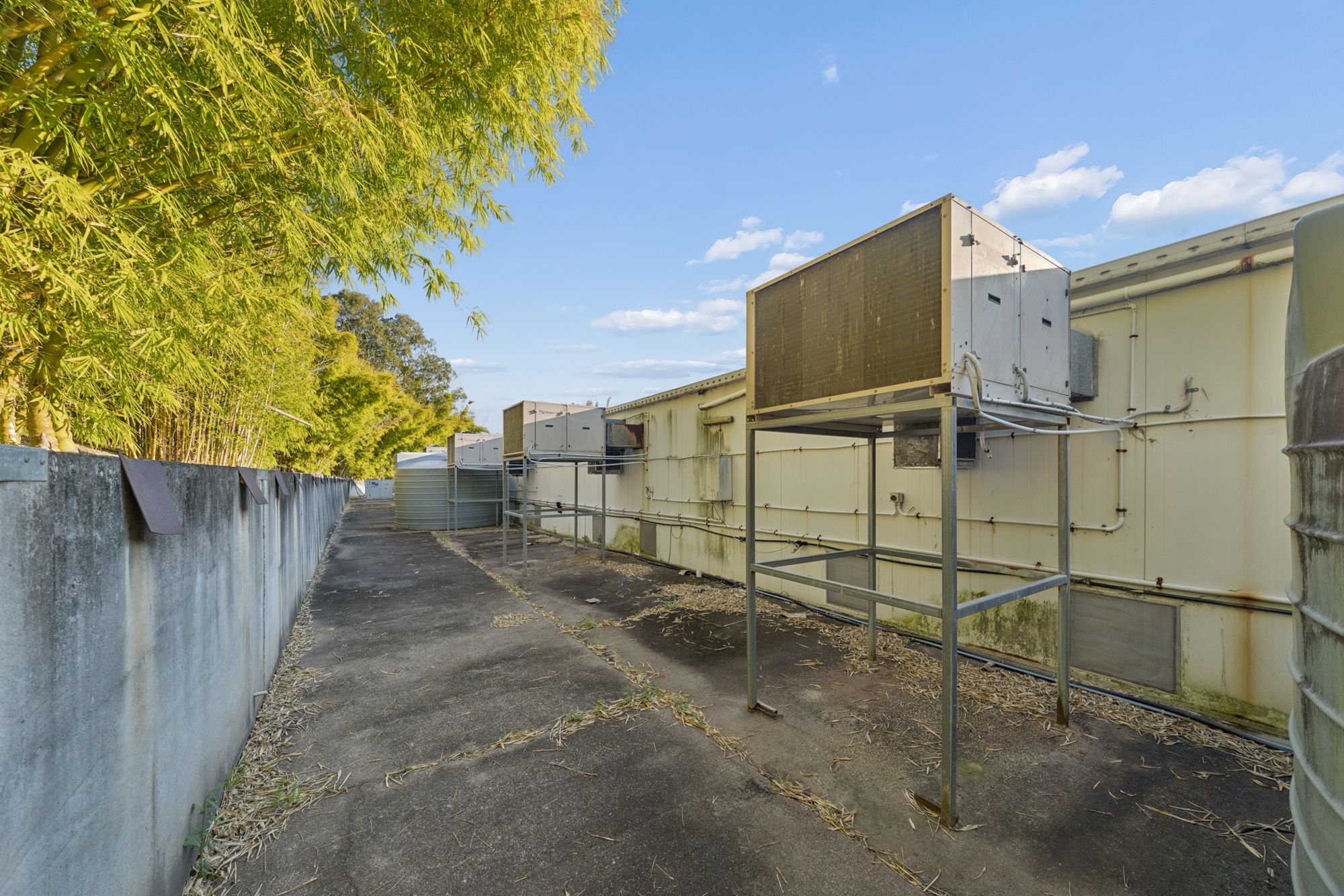 50 - 60 Cruice Drive — photo 10 of 30