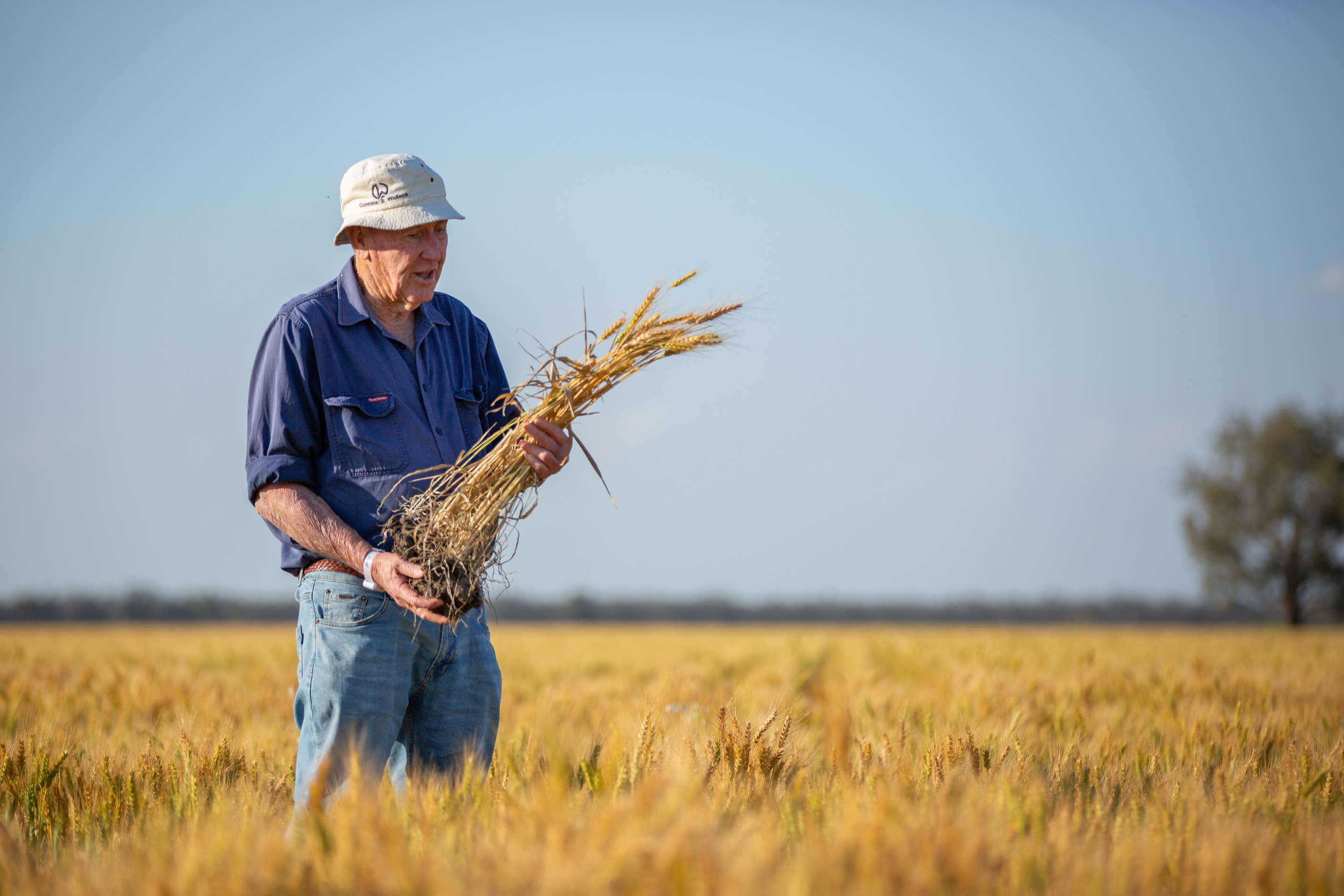 2506 Goonal Road, Bullarah, NSW 2400