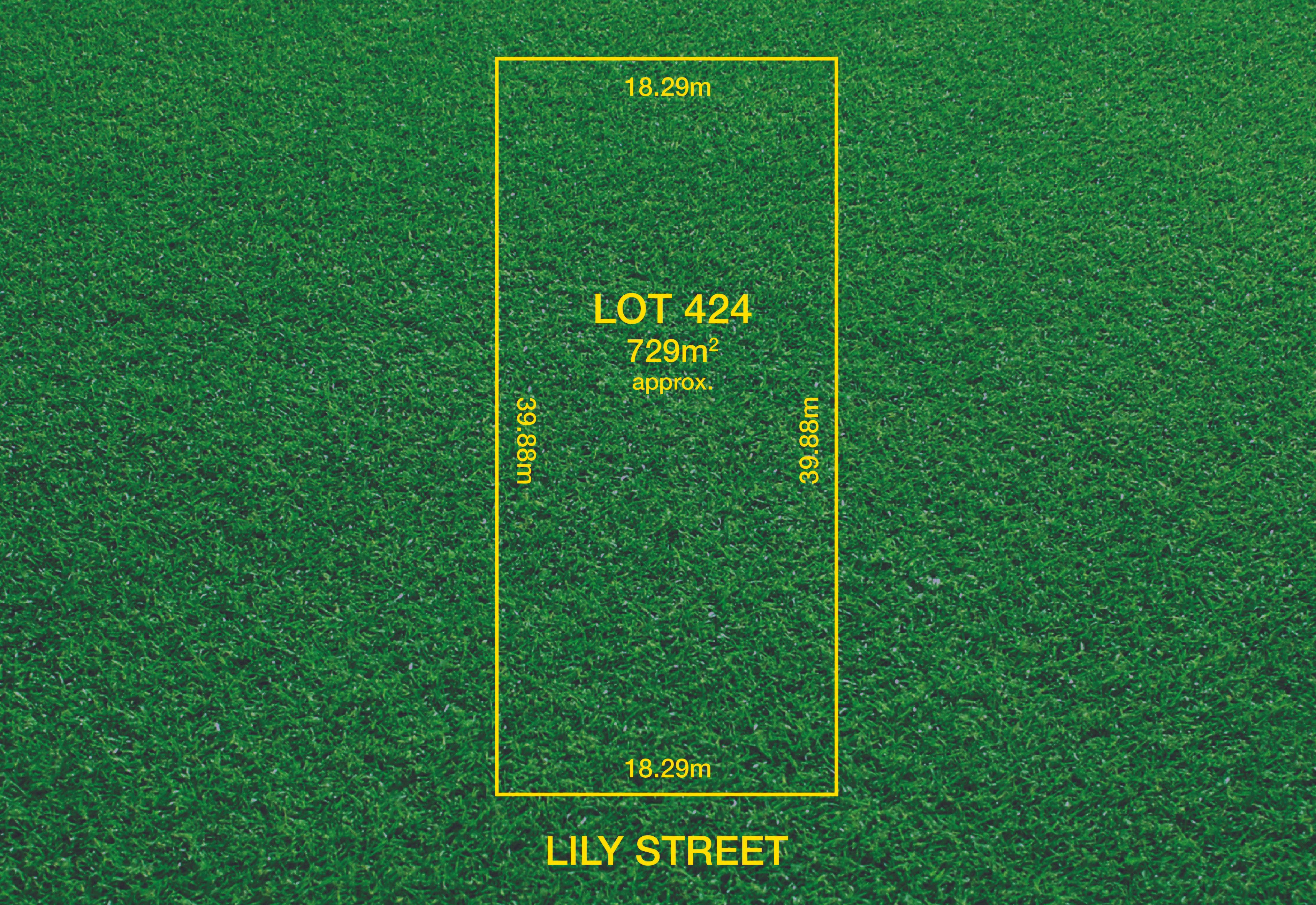 19 Lily Street, Blair Athol, SA 5084
