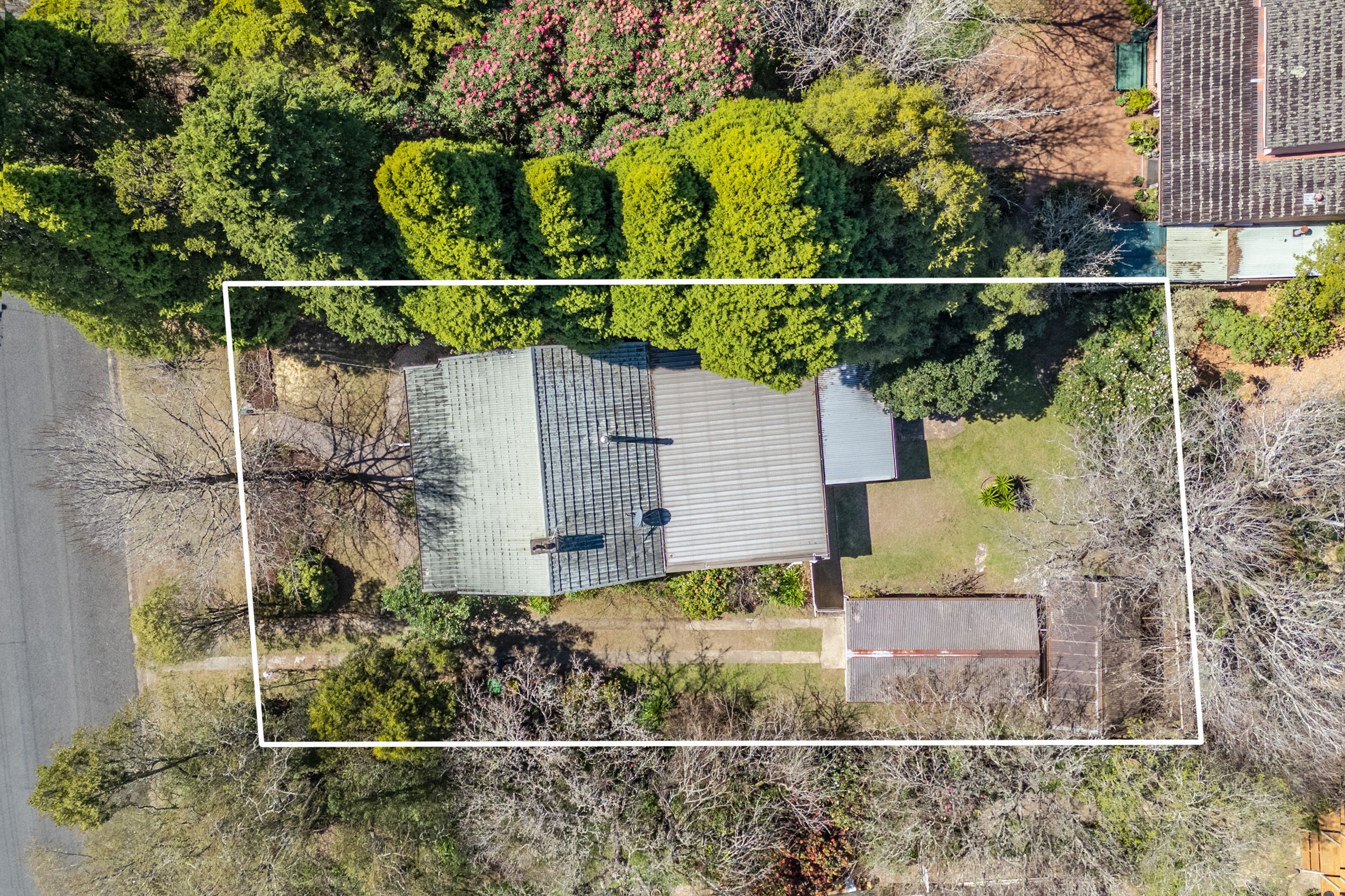 53 Leichhardt Street — photo 13 of 15