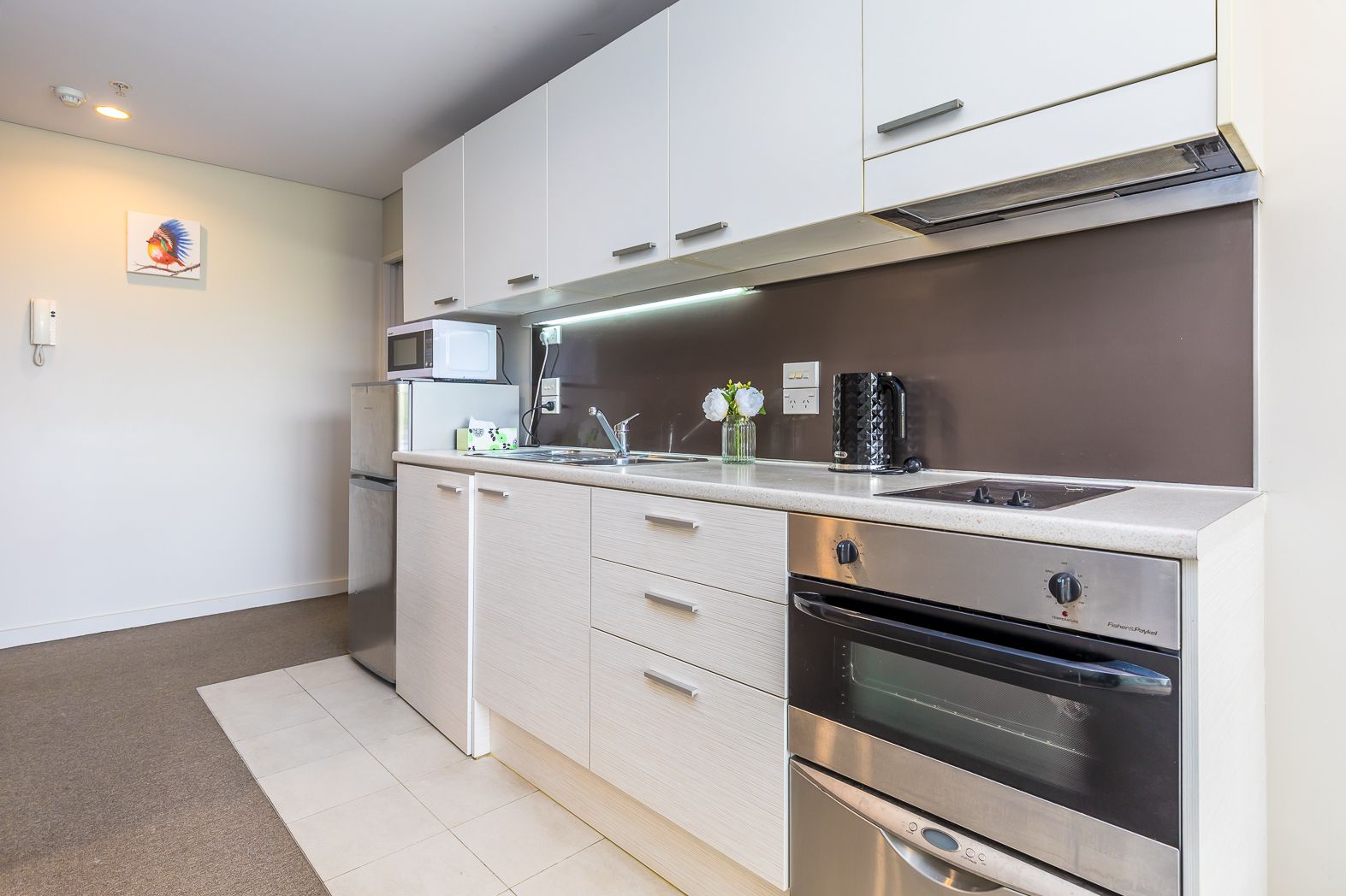 202/37 Symonds Street, Grafton, Auckland City 1010