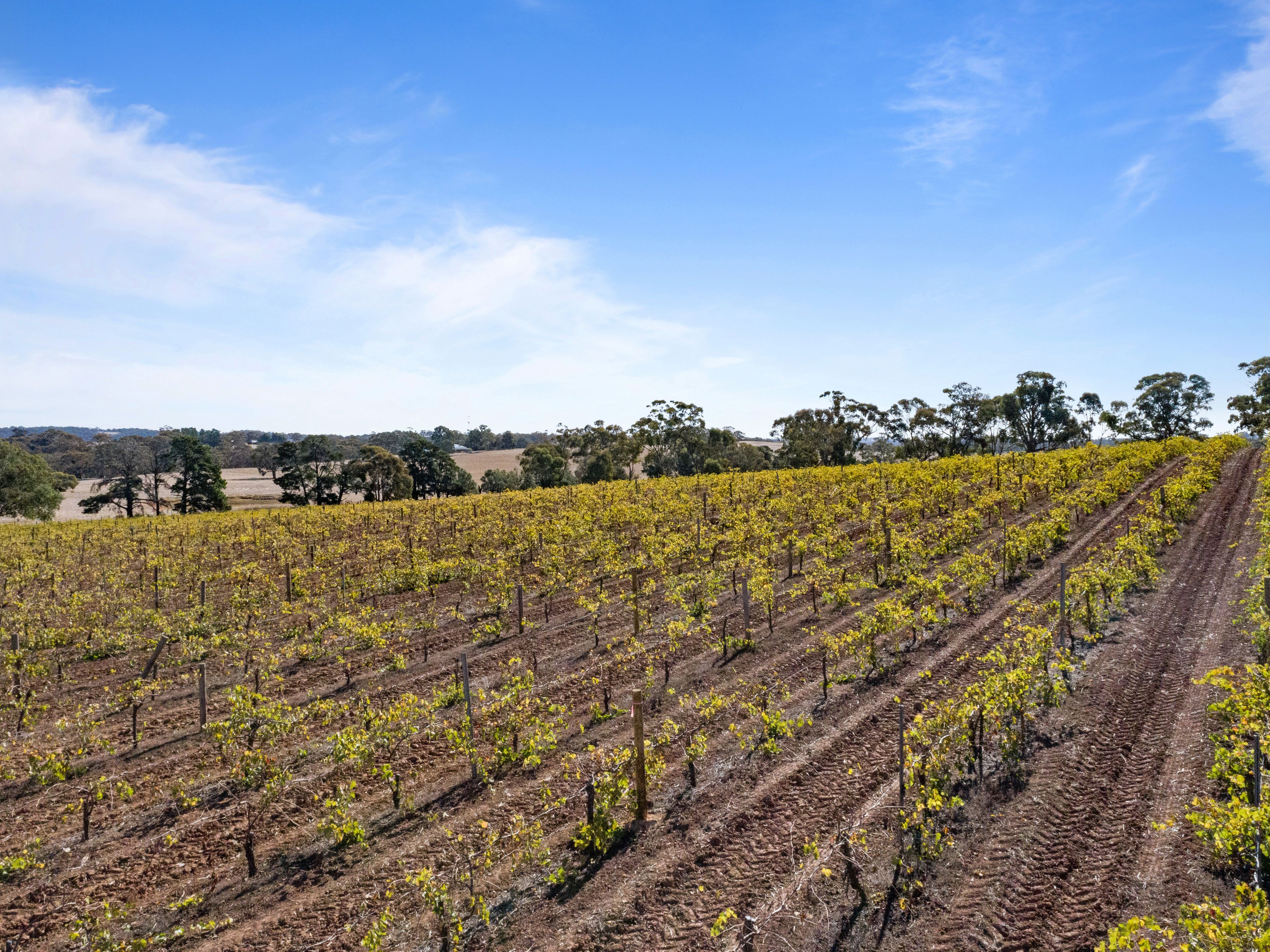 Lot 201 Pawelski Road, Penwortham, SA 5453