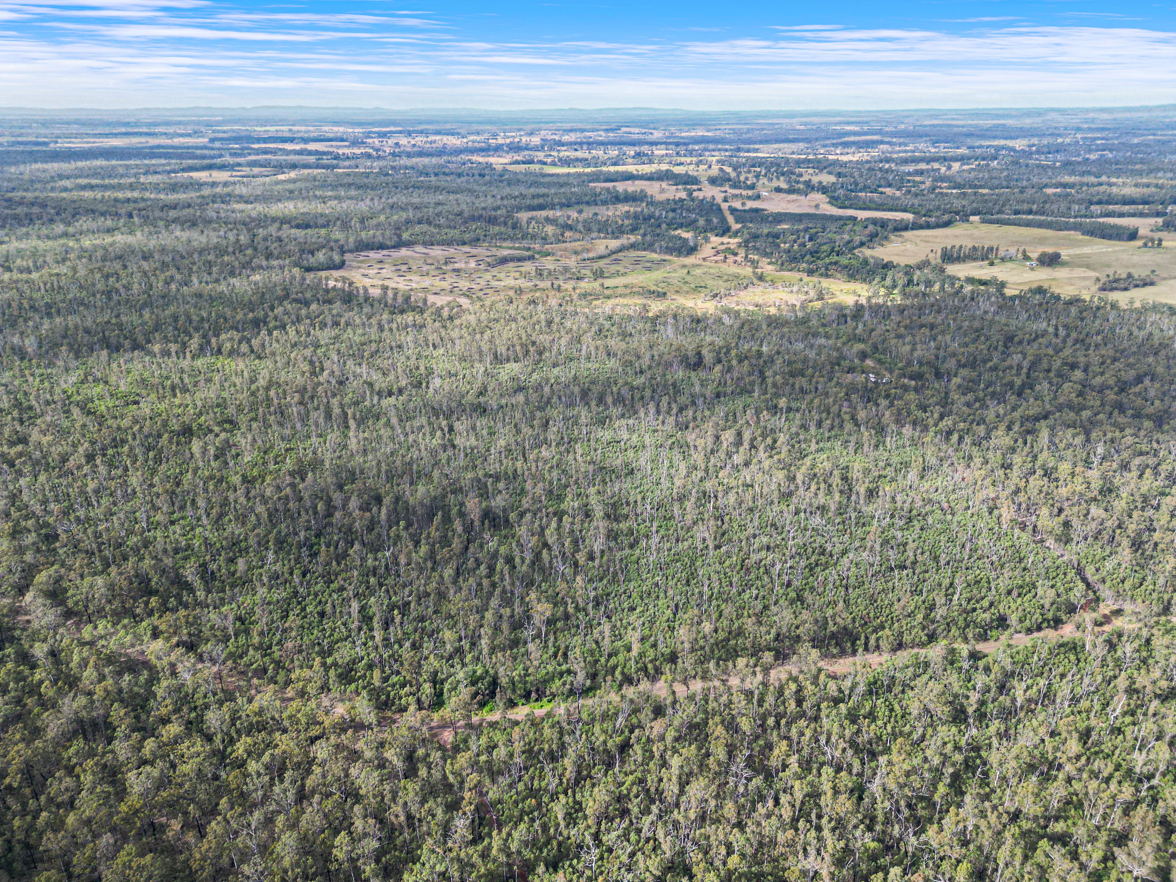 Productive Country With Creek Frontage — photo 4 of 4