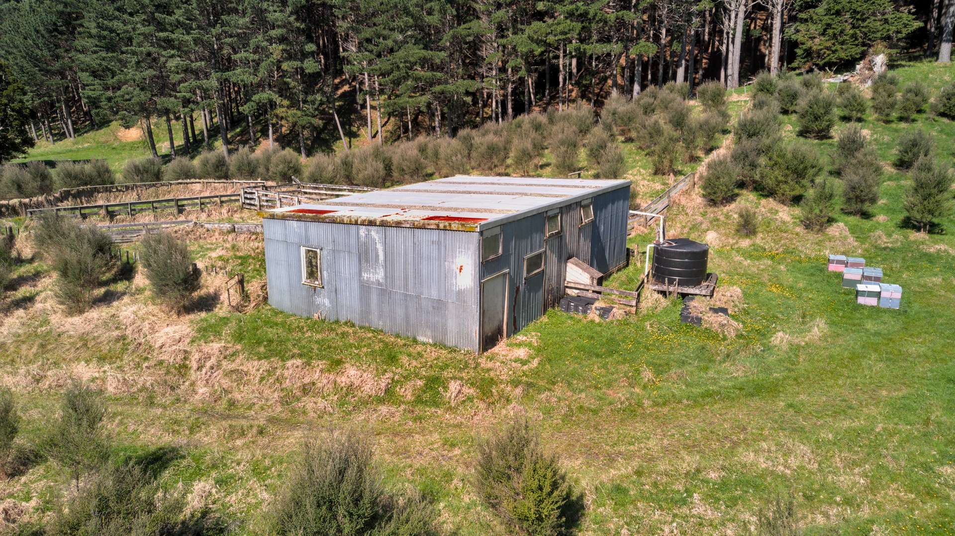 60 Whakapirau Road photo 8