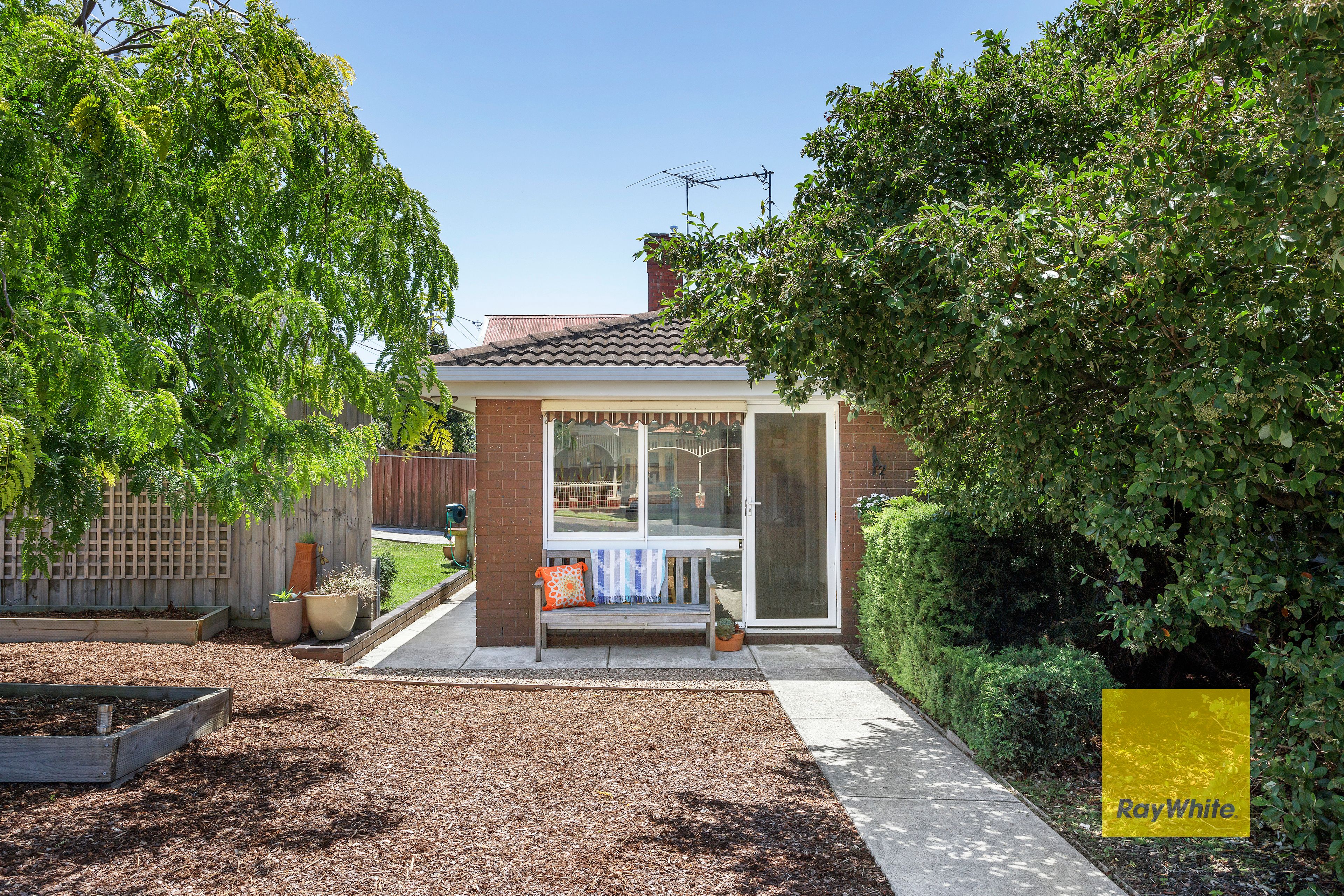 23 Francis Street, Belmont VIC 3216
