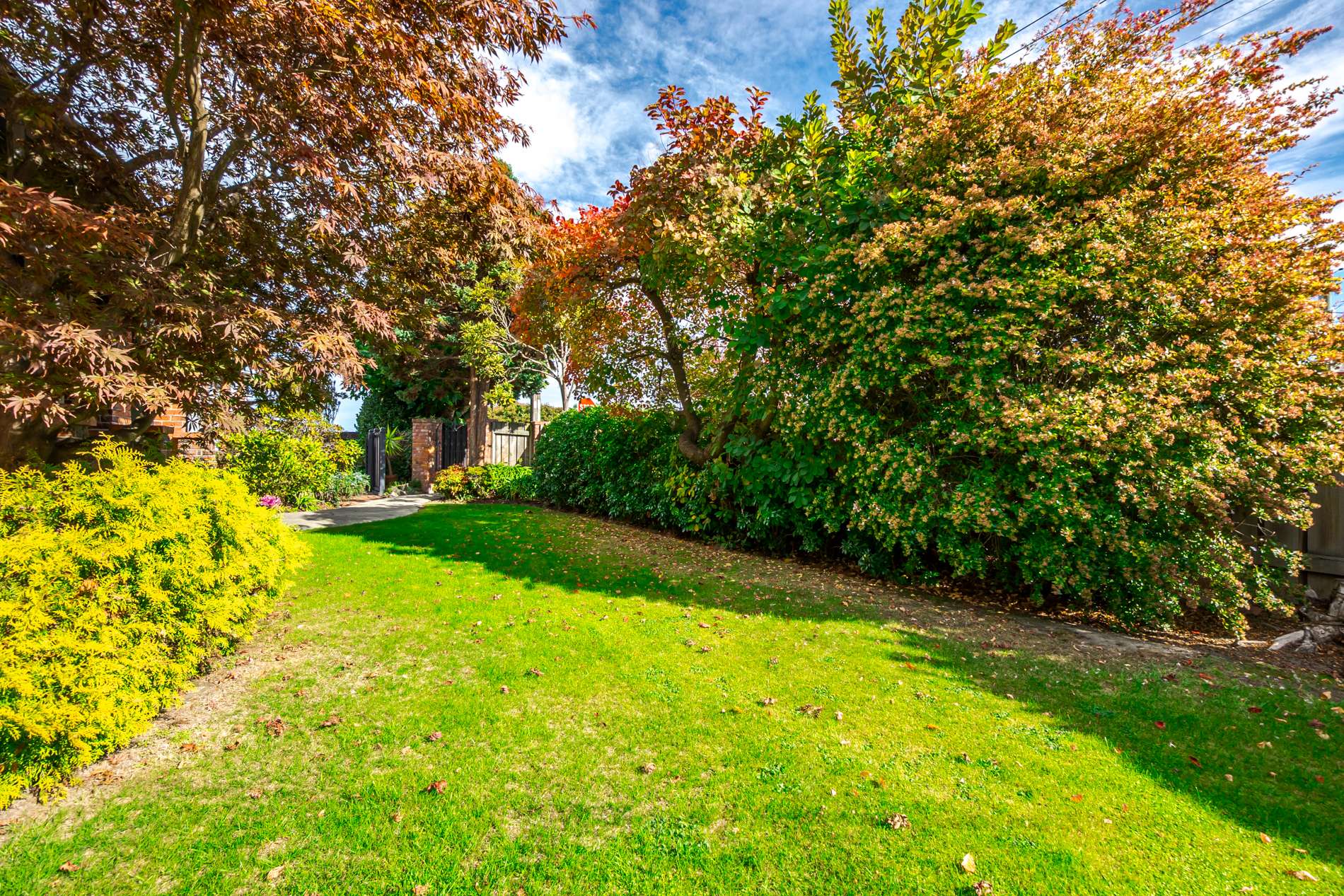 1 St Johns Avenue photo 25